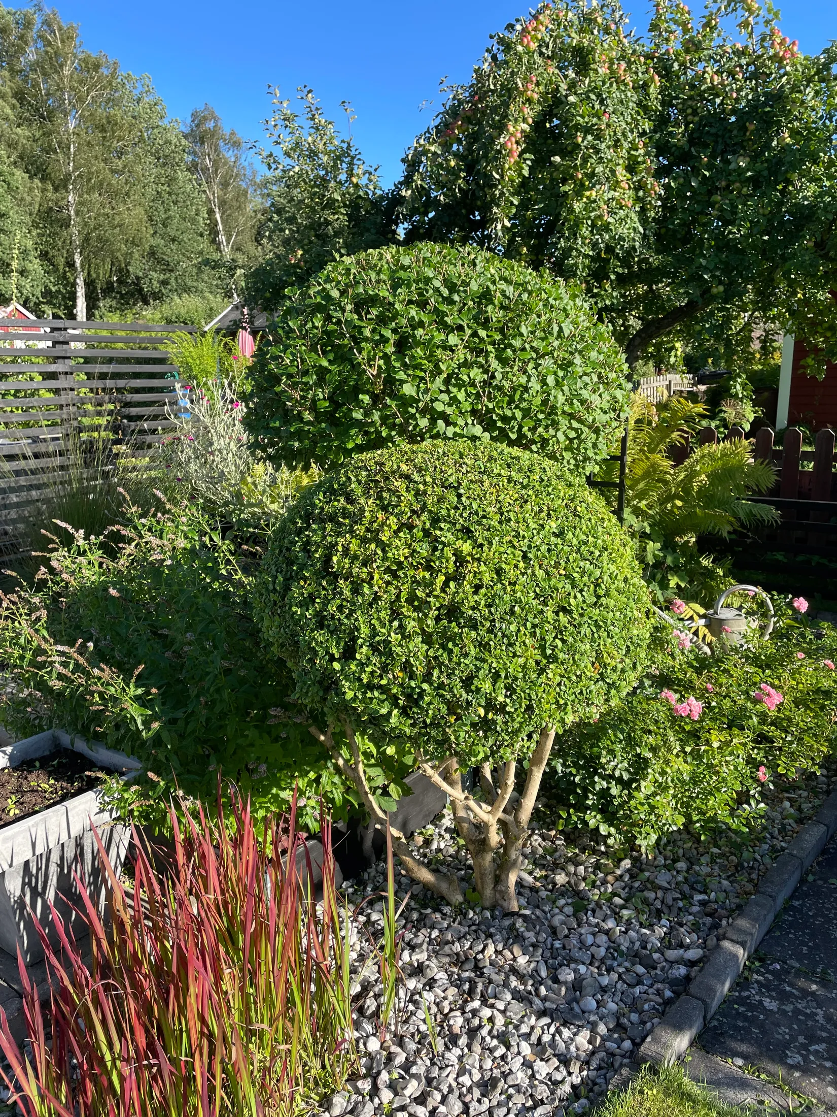 Fritidshus, Häggvägen 551 Valla Koloniområde, Valla koloniområde, Linköping