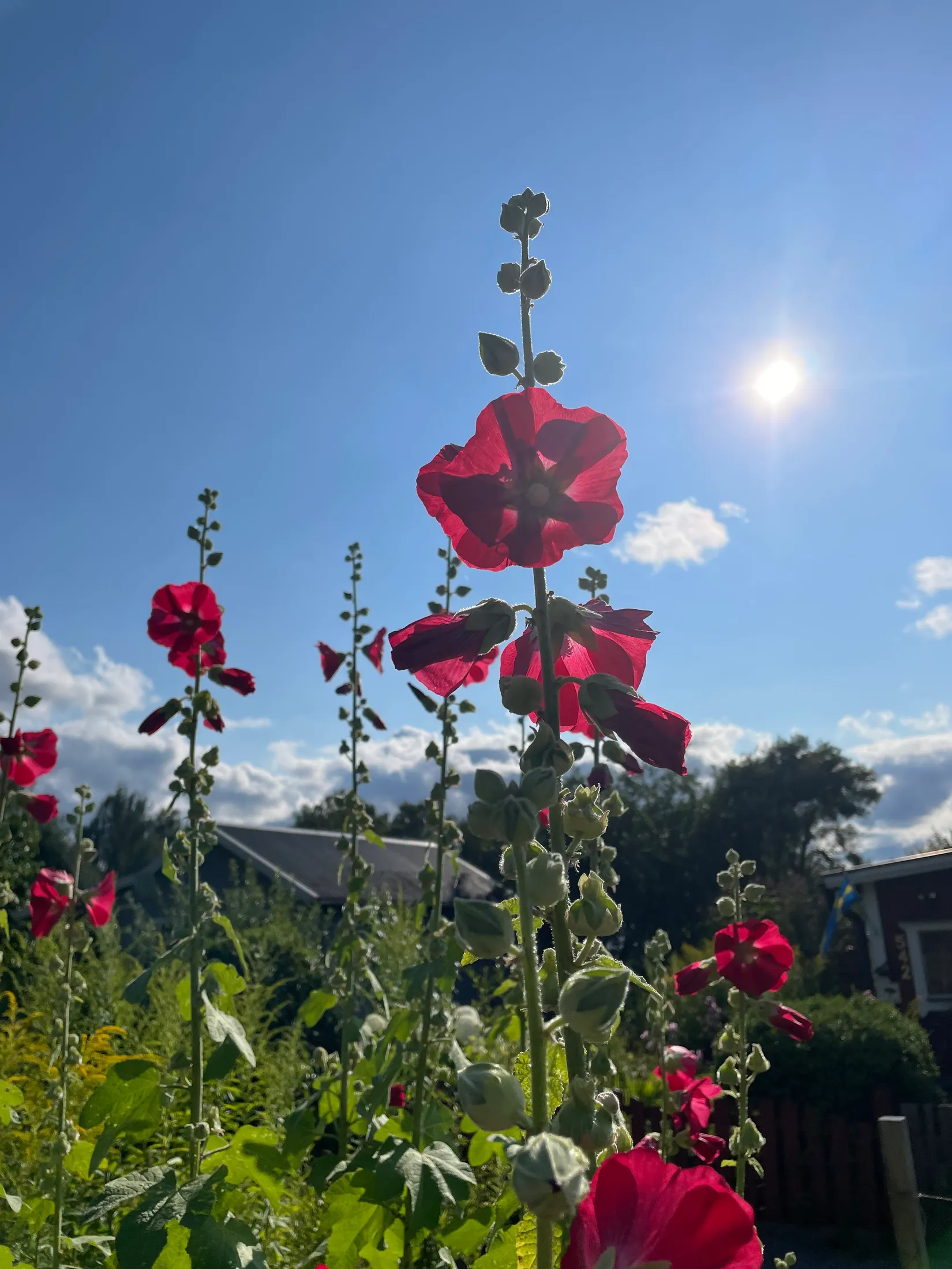 Fritidshus, Häggvägen 551 Valla Koloniområde, Valla koloniområde, Linköping