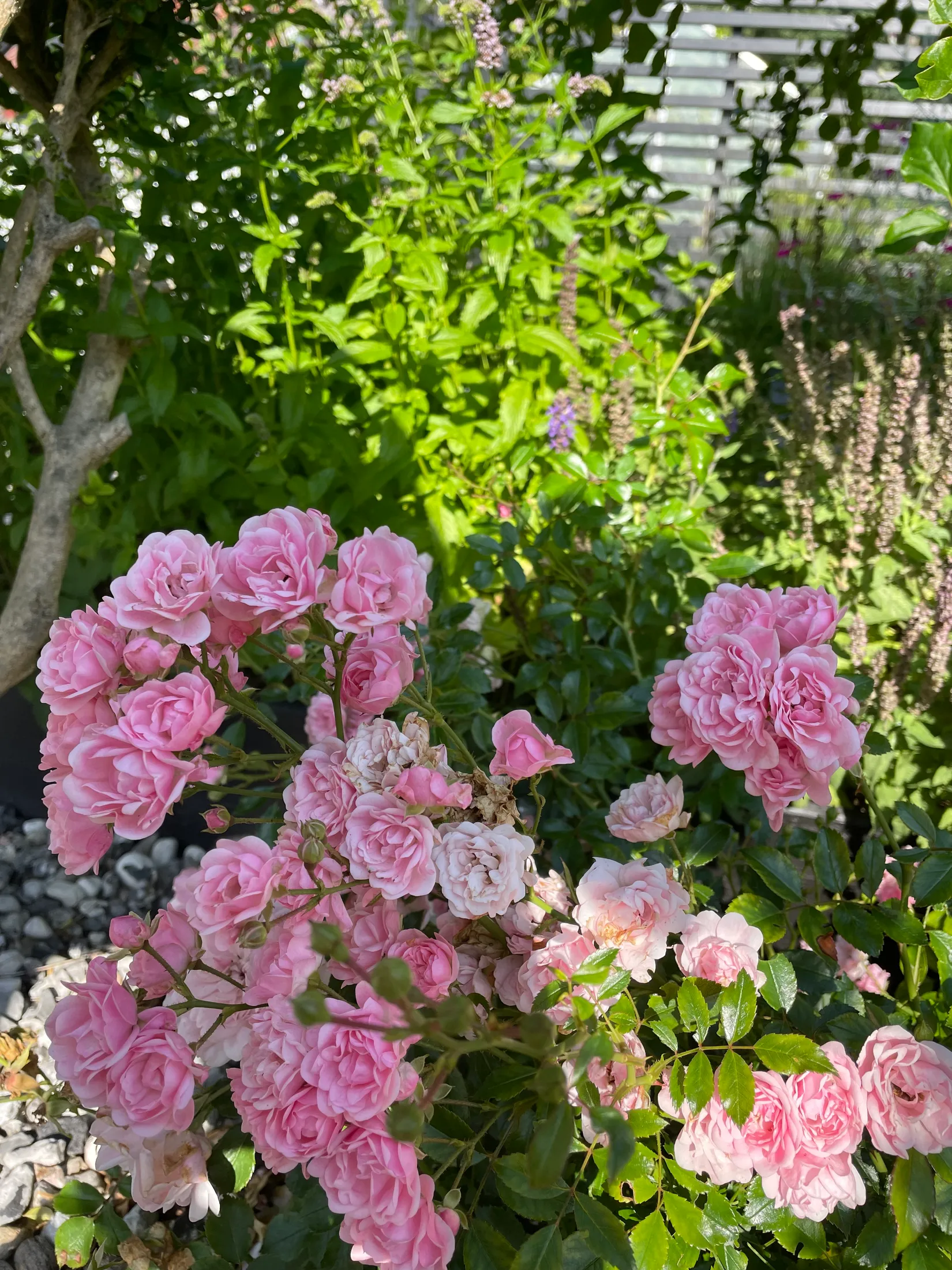 Fritidshus, Häggvägen 551 Valla Koloniområde, Valla koloniområde, Linköping