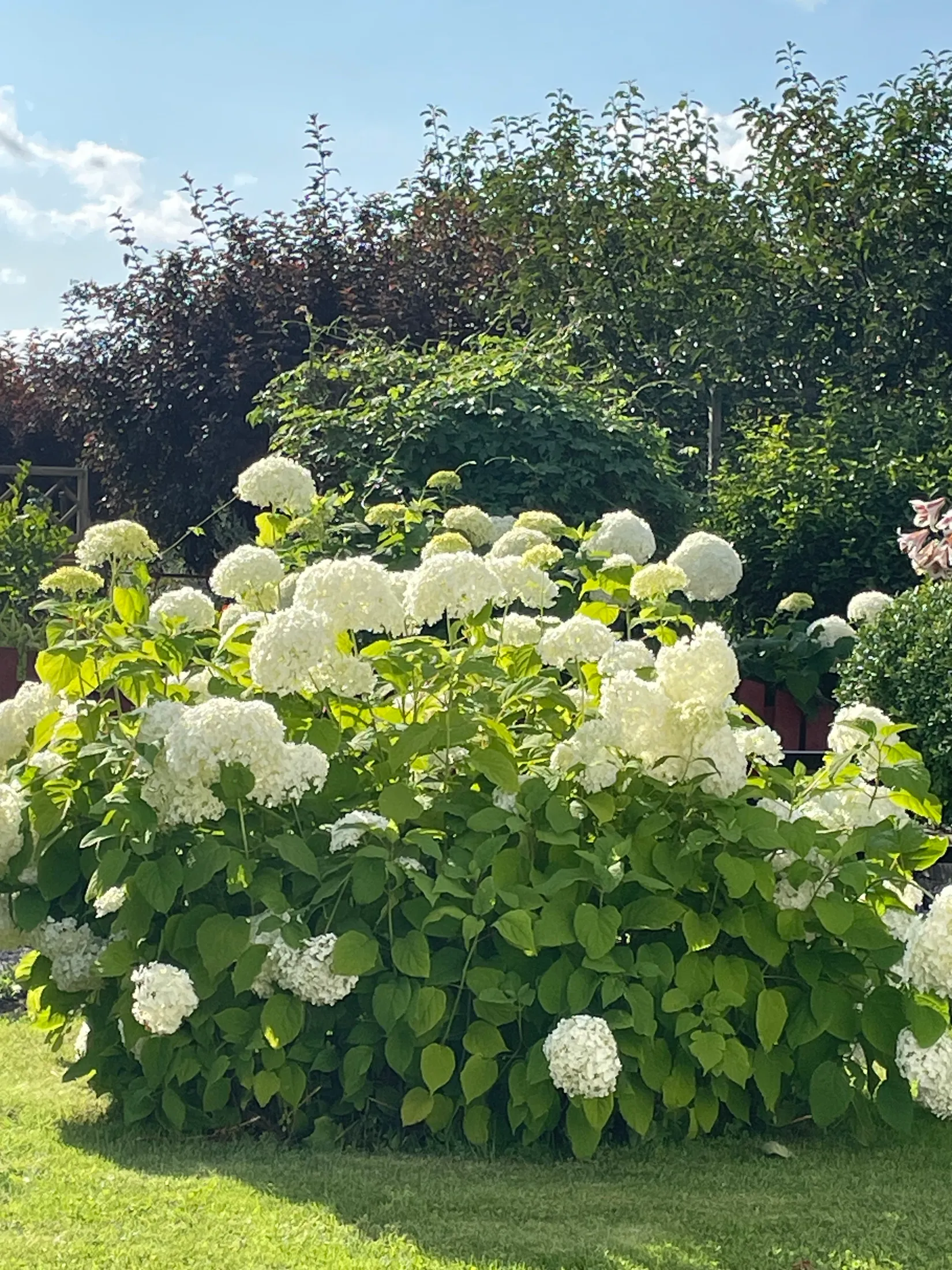 Fritidshus, Häggvägen 551 Valla Koloniområde, Valla koloniområde, Linköping