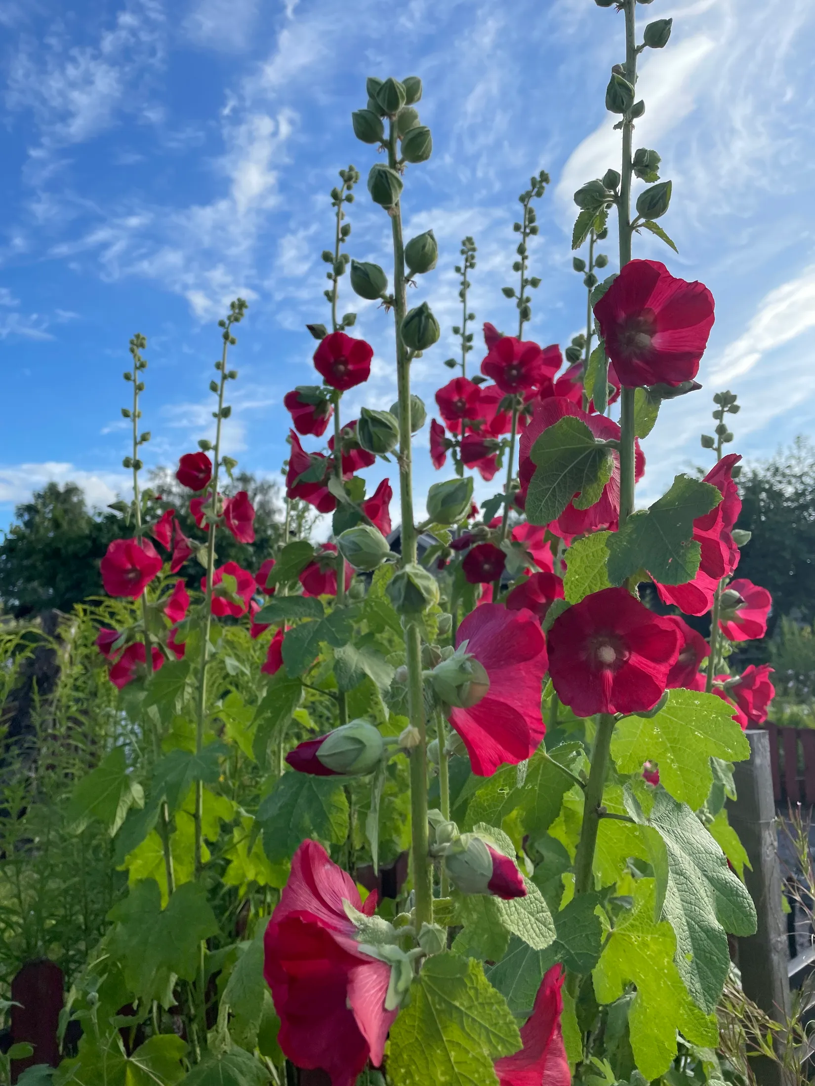 Fritidshus, Häggvägen 551 Valla Koloniområde, Valla koloniområde, Linköping