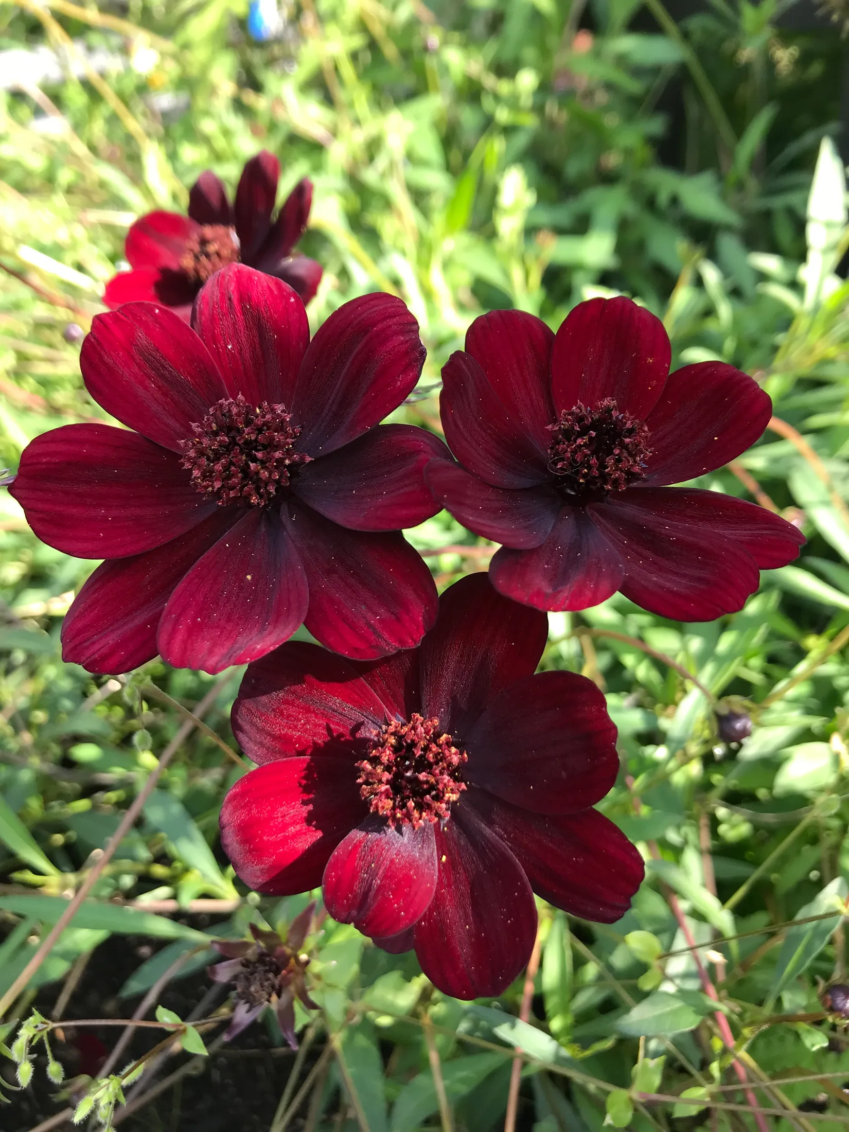 Fritidshus, Häggvägen 551 Valla Koloniområde, Valla koloniområde, Linköping