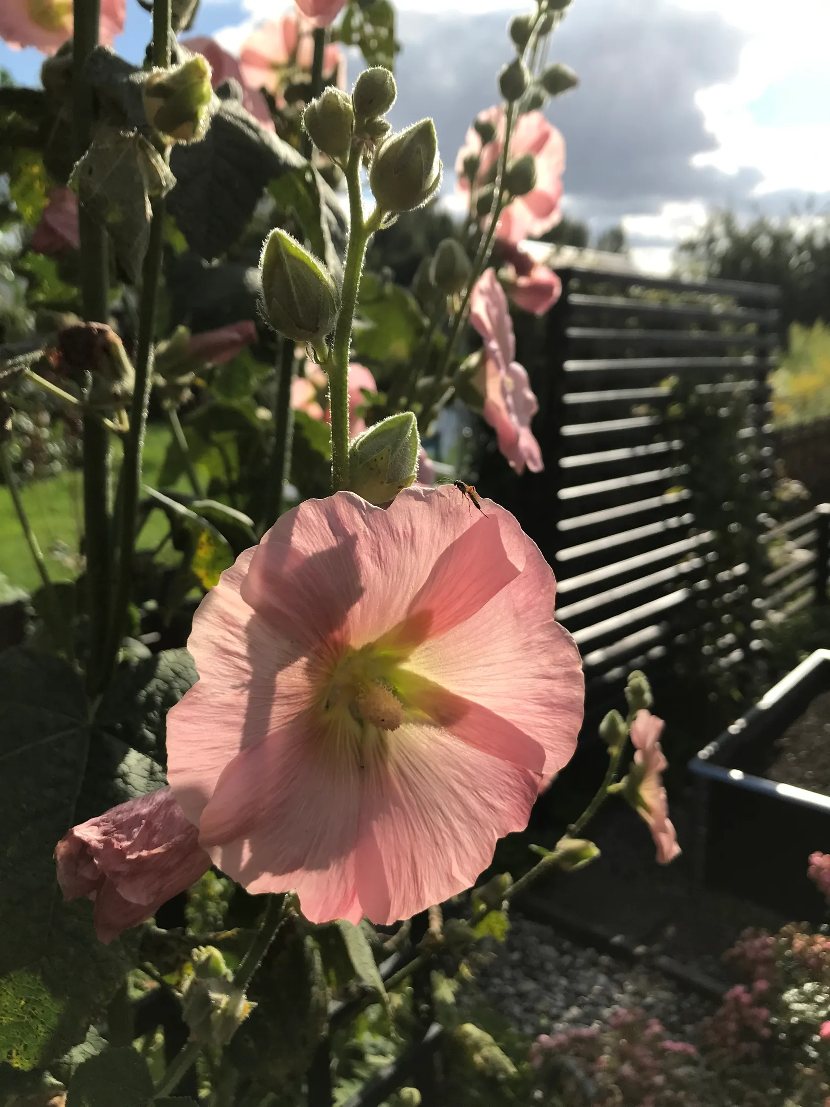 Fritidshus, Häggvägen 551 Valla Koloniområde, Valla koloniområde, Linköping