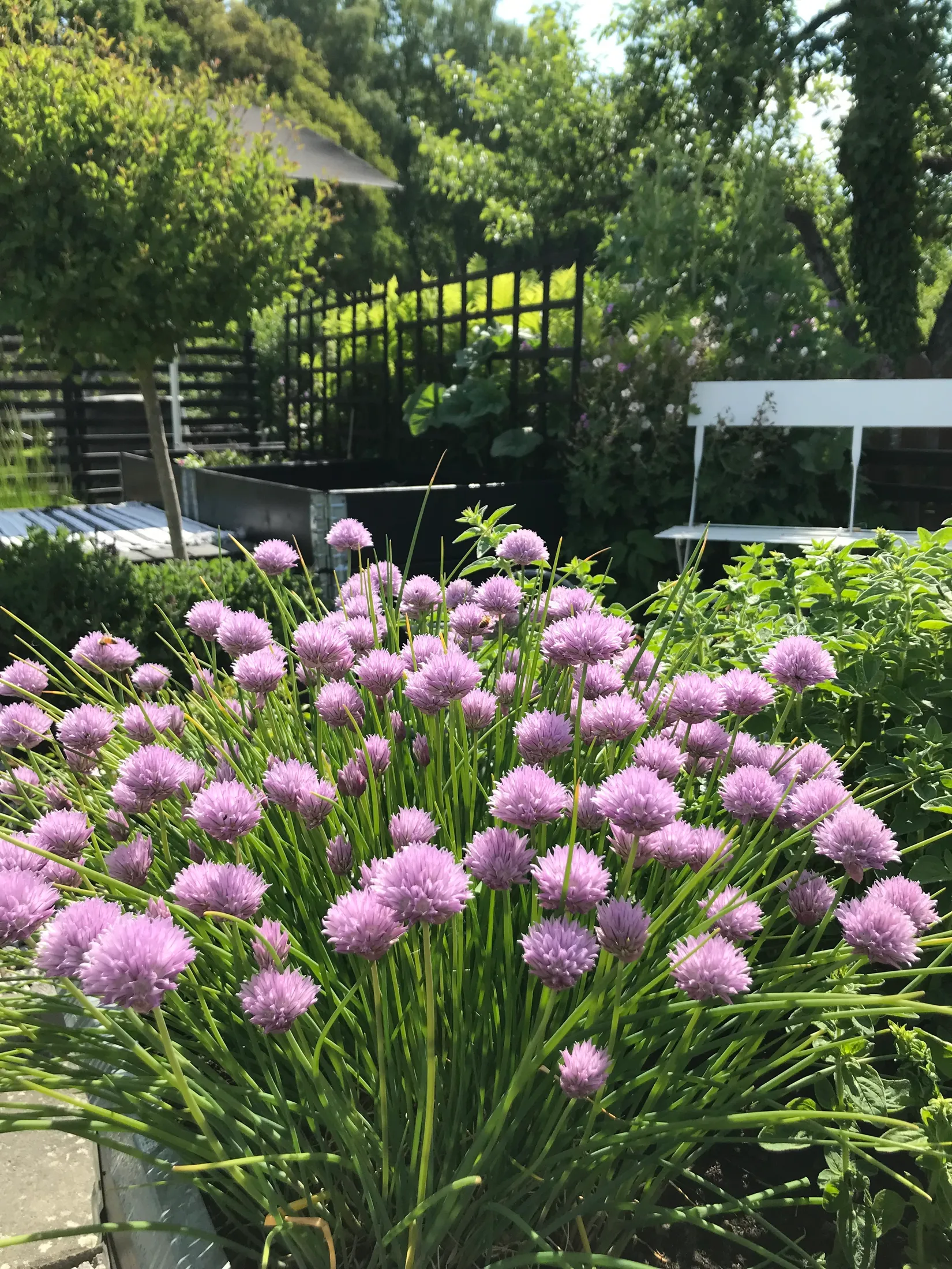 Fritidshus, Häggvägen 551 Valla Koloniområde, Valla koloniområde, Linköping