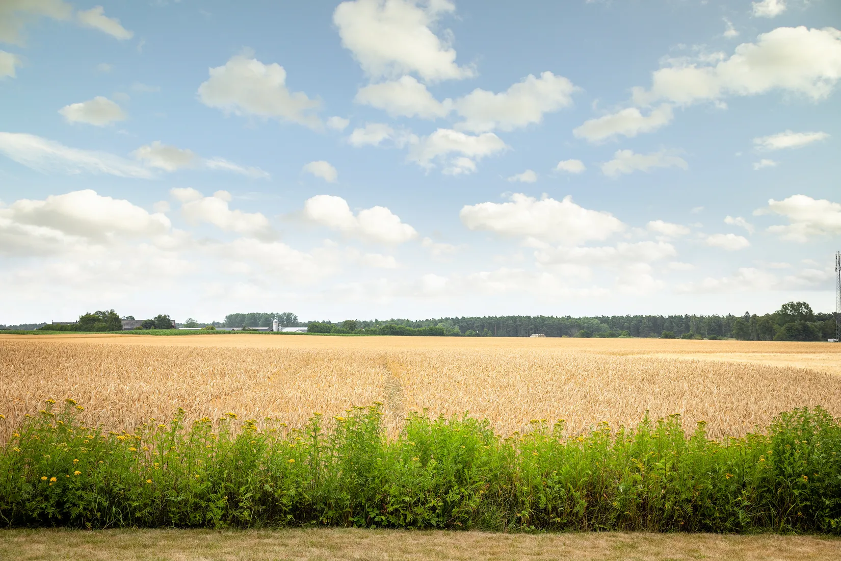 Fritidshus, Lundavägen 9, Sandby, Simrishamn
