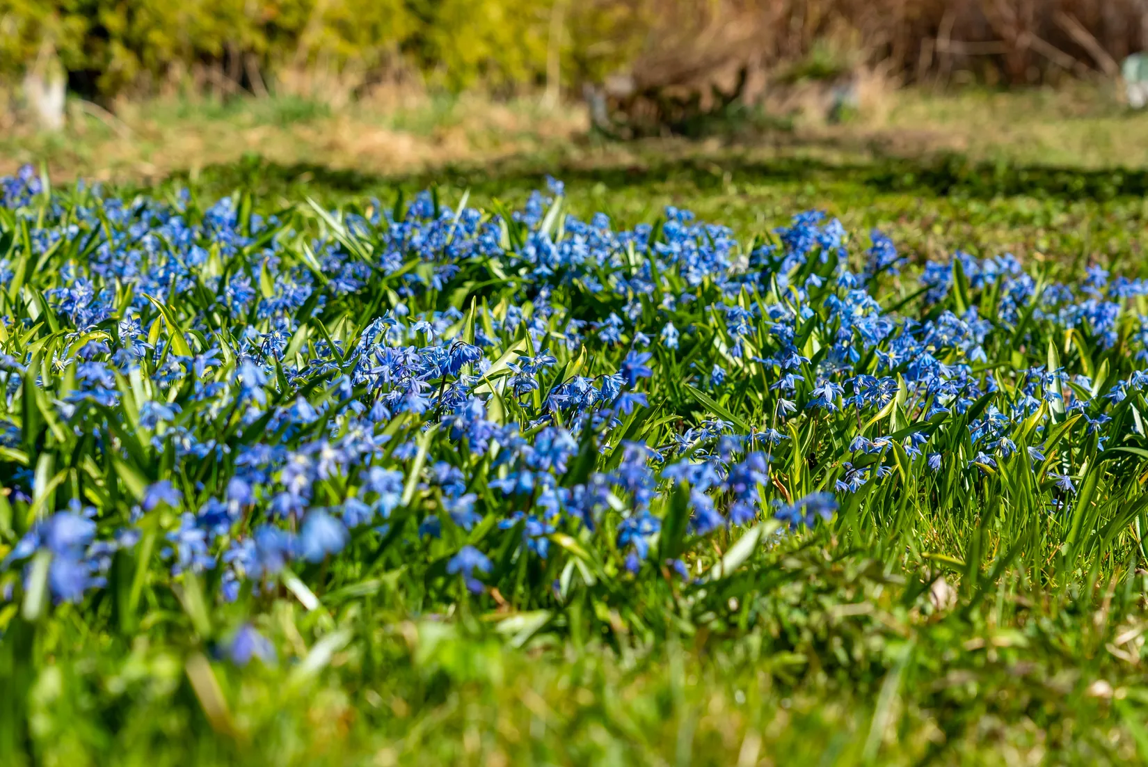 Villa, Västra vägen 10, Ärla, Eskilstuna