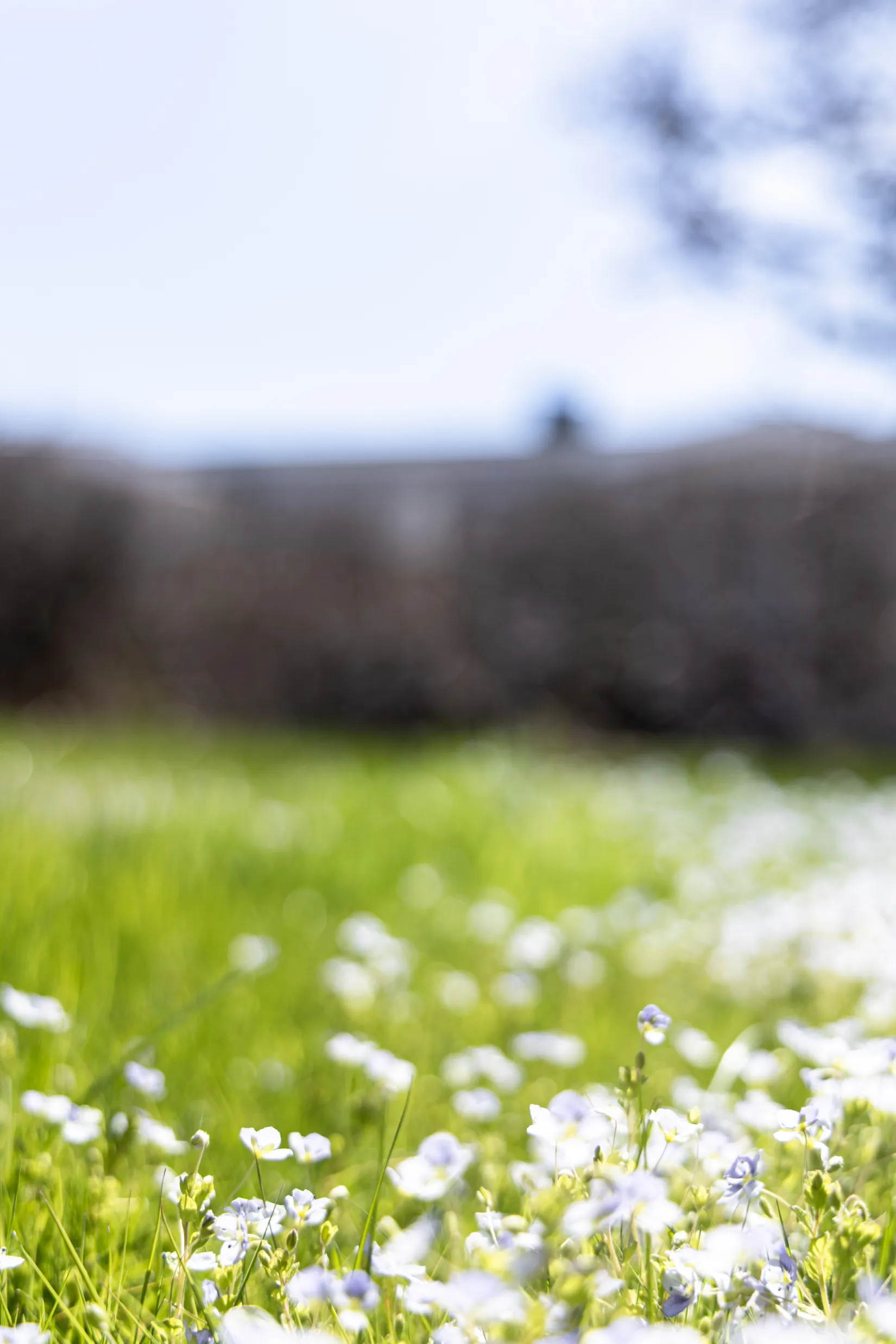 Villa, Radhus, Höjdenvägen 22, Lerum-Höjden, Lerum