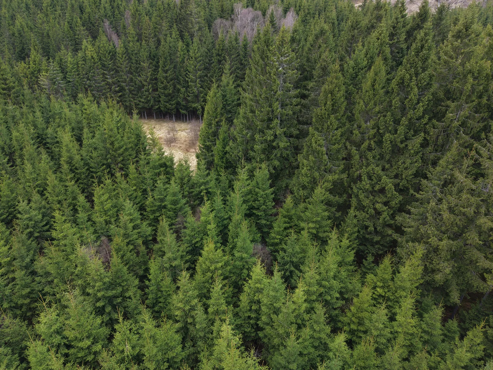 Gård/Skog, Skogsfastighet i Kinnared, Kinnared, Hylte