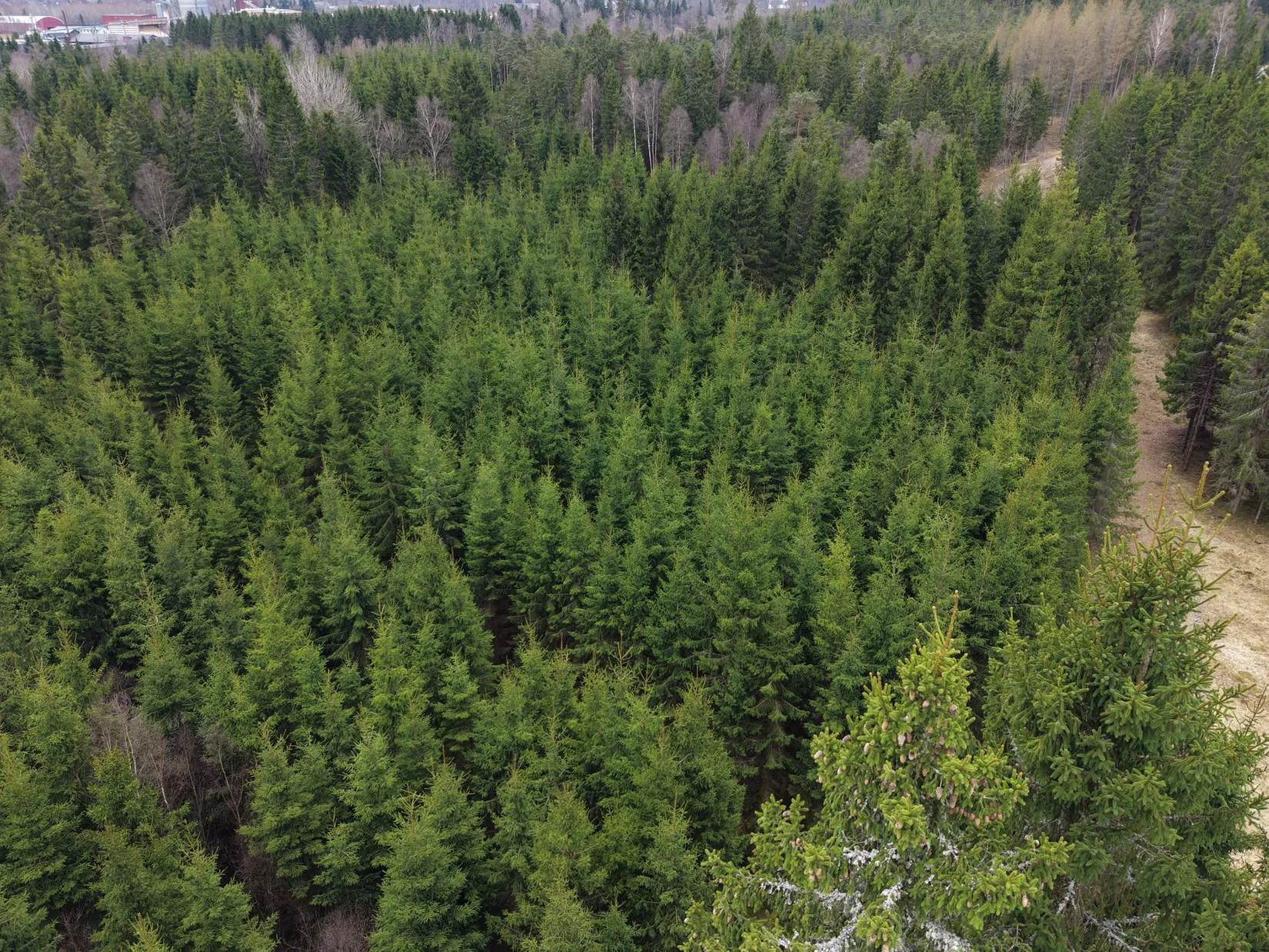 Gård/Skog, Skogsfastighet i Kinnared, Kinnared, Hylte