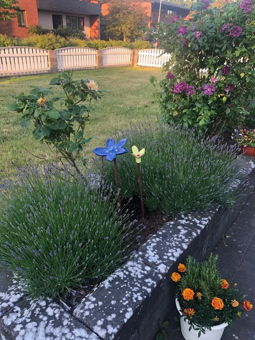 Villa, Nyponvägen 31, Oskarsberg, Kungsbacka