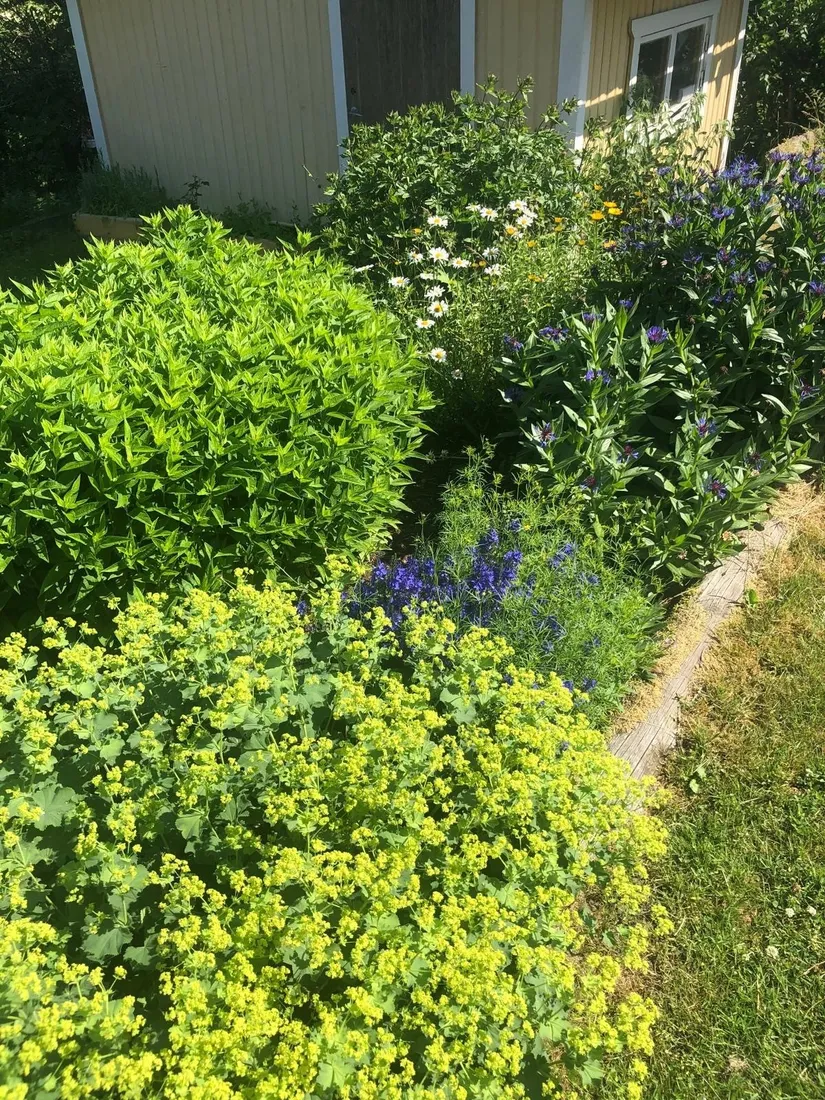 Villa, Nyponvägen 31, Oskarsberg, Kungsbacka