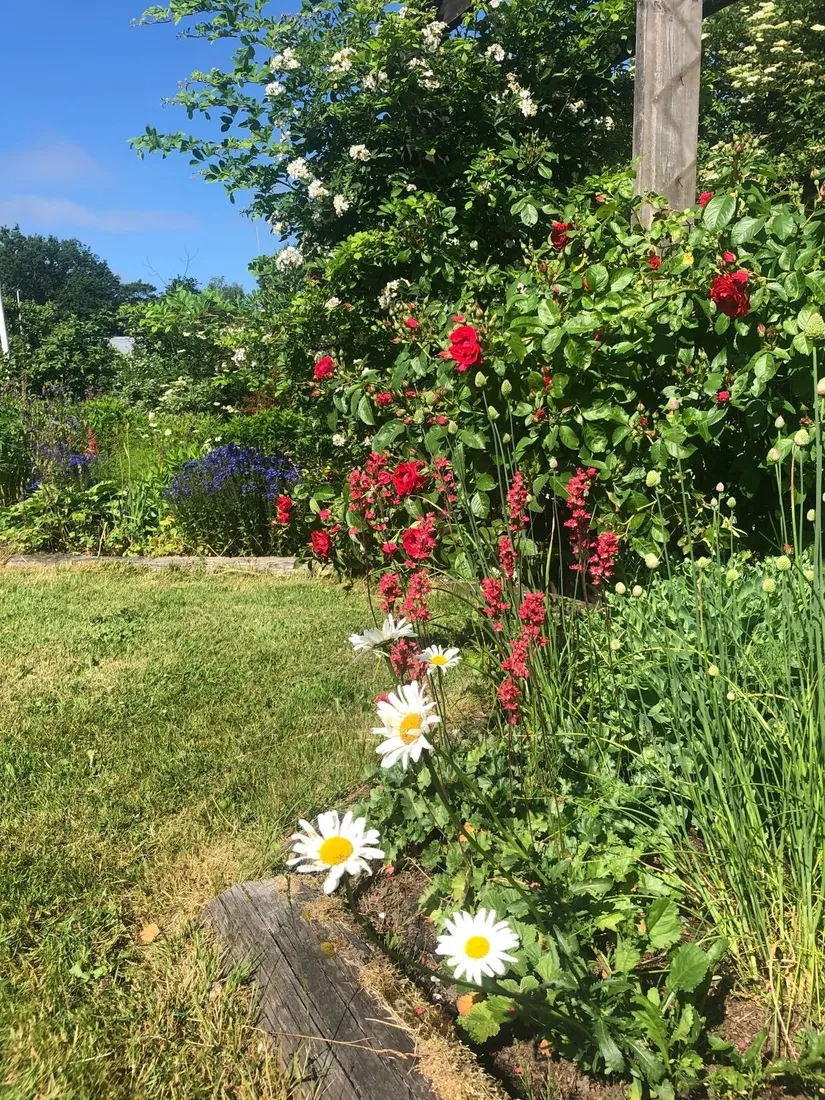 Villa, Nyponvägen 31, Oskarsberg, Kungsbacka