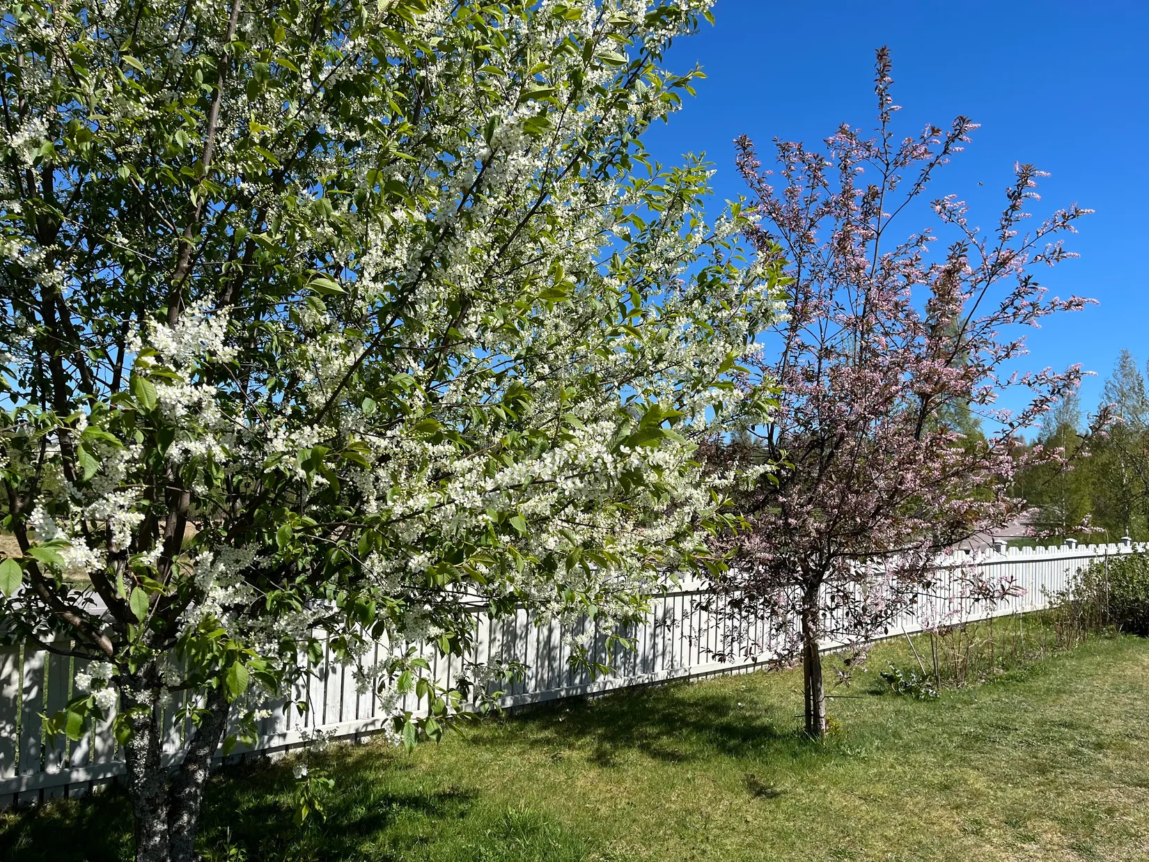 Villa, Pensionärsvägen 4, Särna centralt, Älvdalen