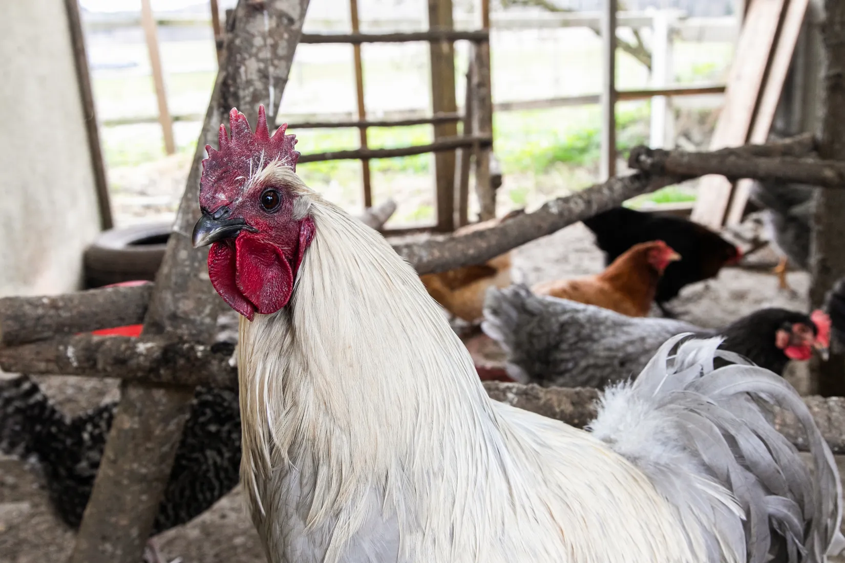 Villa, Korndal 1, Tvååker, Varberg