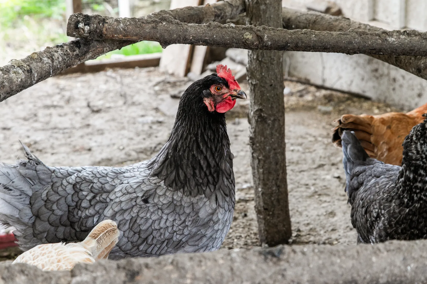 Villa, Korndal 1, Tvååker, Varberg