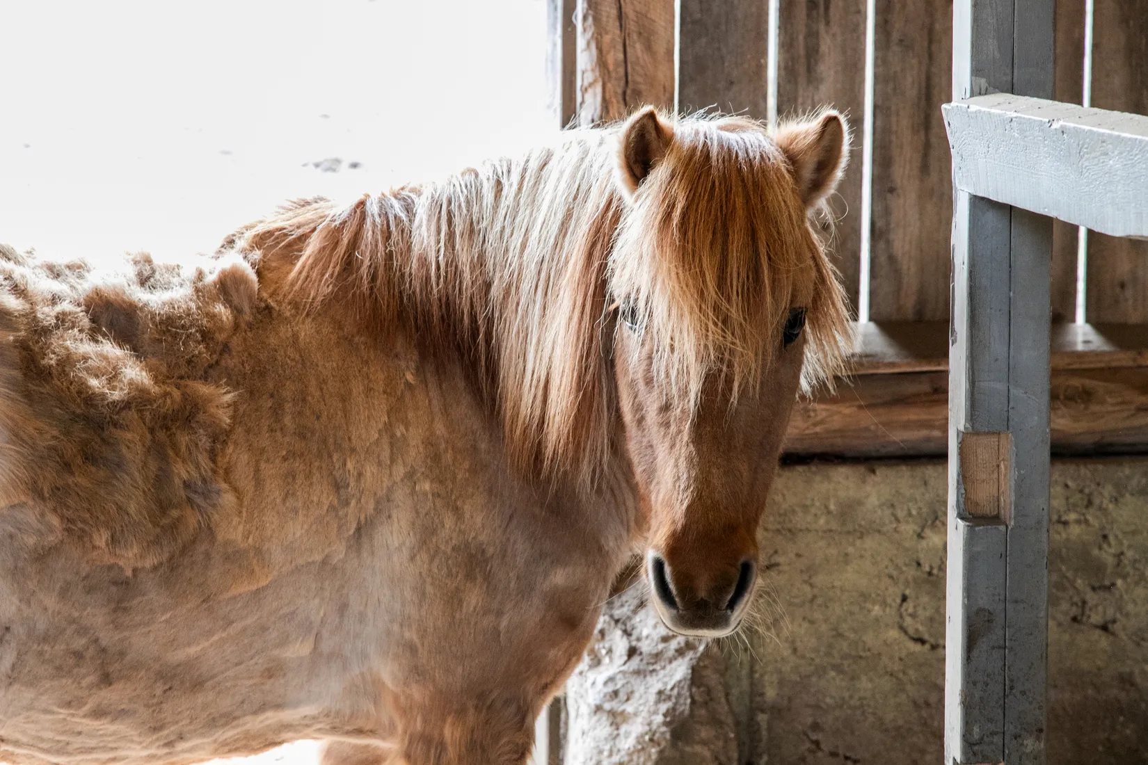 Villa, Korndal 1, Tvååker, Varberg