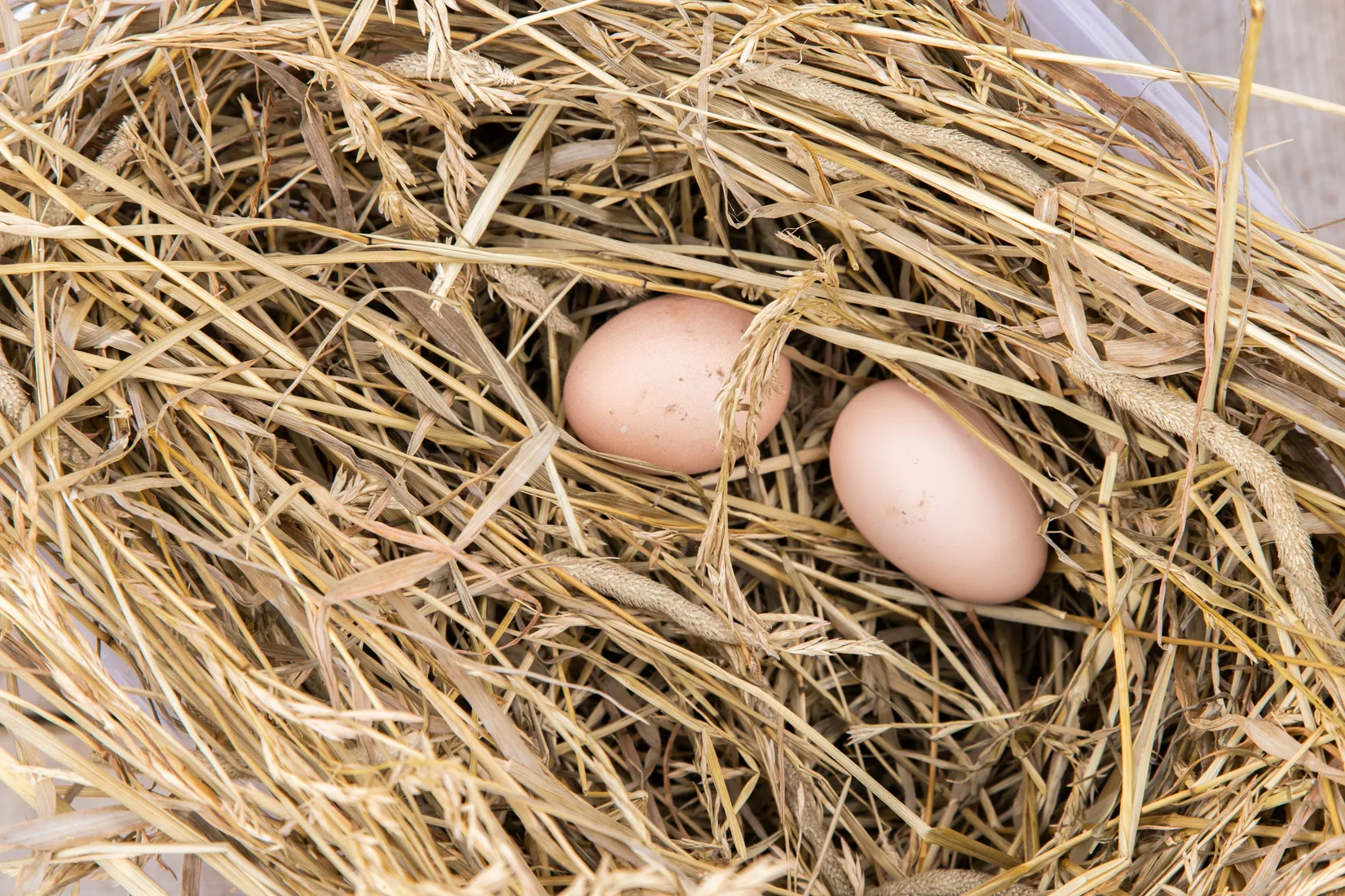 Villa, Korndal 1, Tvååker, Varberg