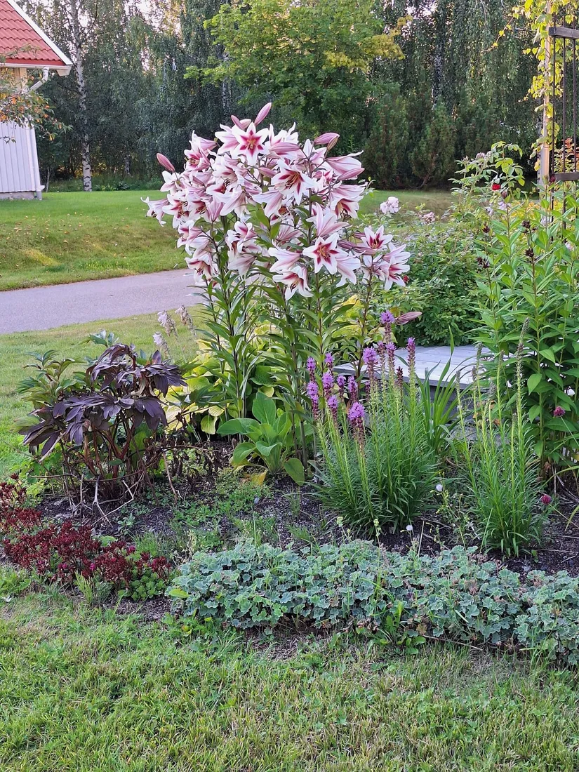 Villa, Folksagans väg 10, Tomtebo, Umeå