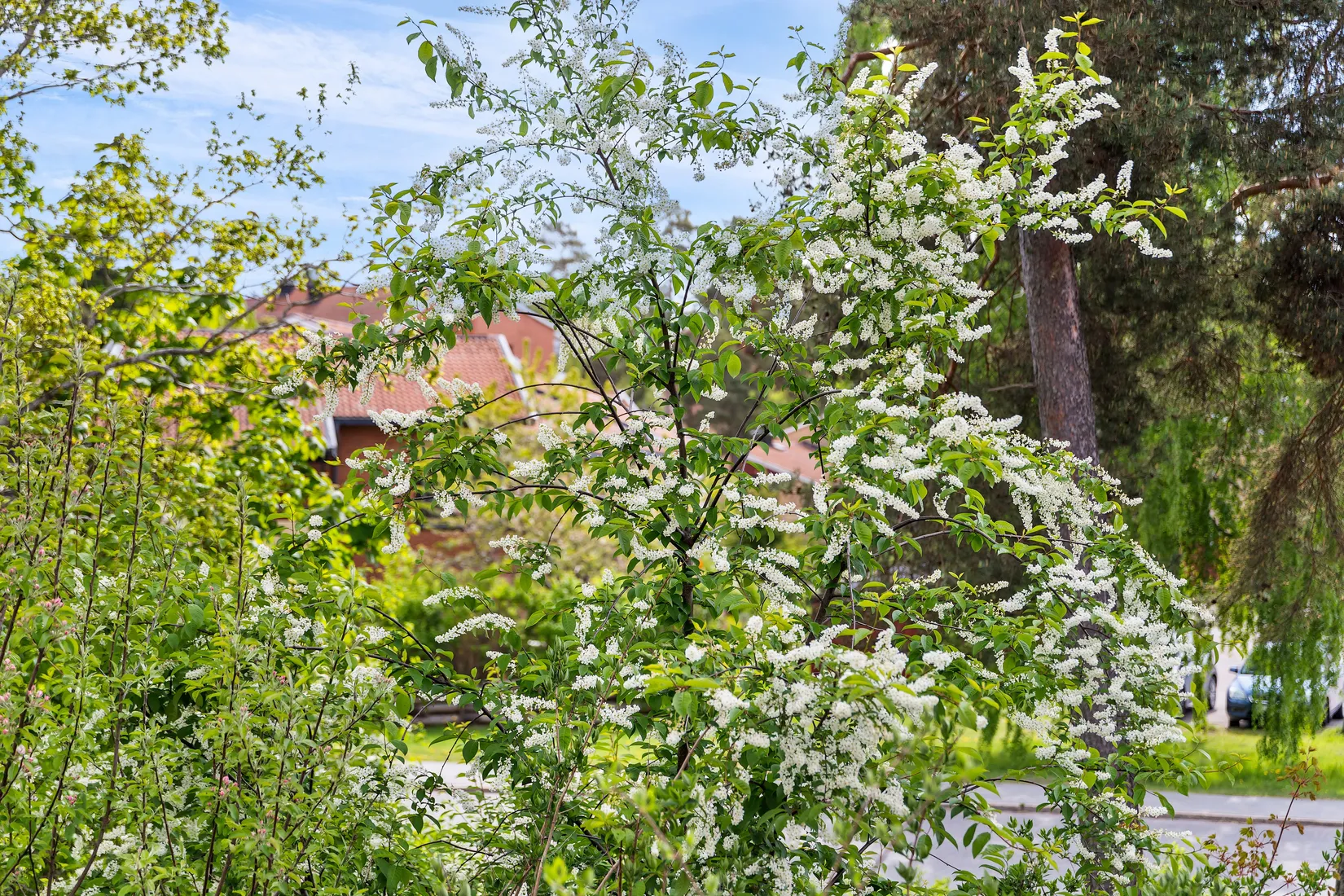 Bostadsrätt, Altfiolsvägen 4 D, Gottsunda, Uppsala