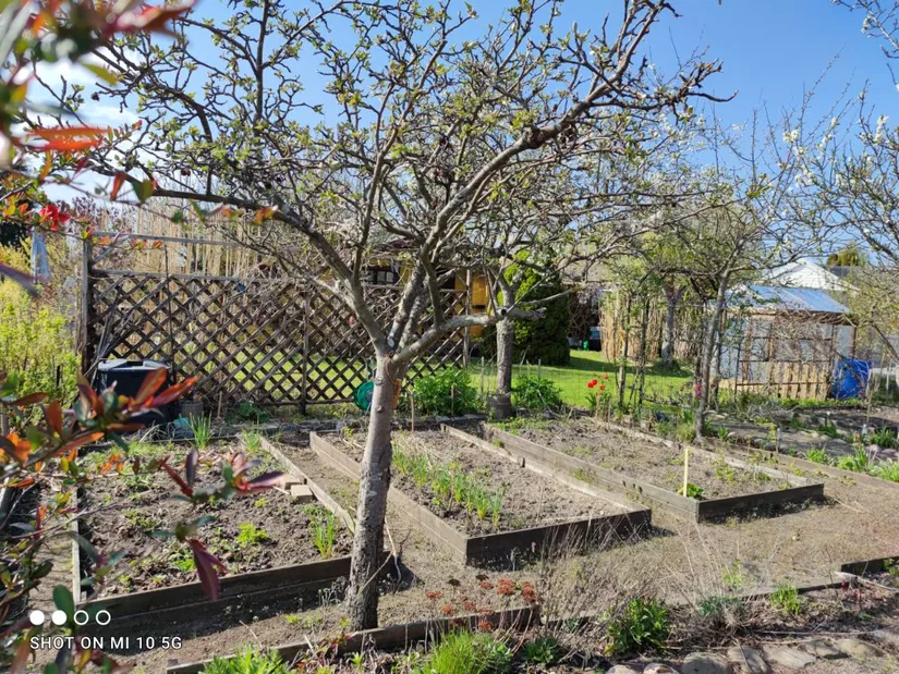 Fritidshus, Päronstigen 19, Landskrona