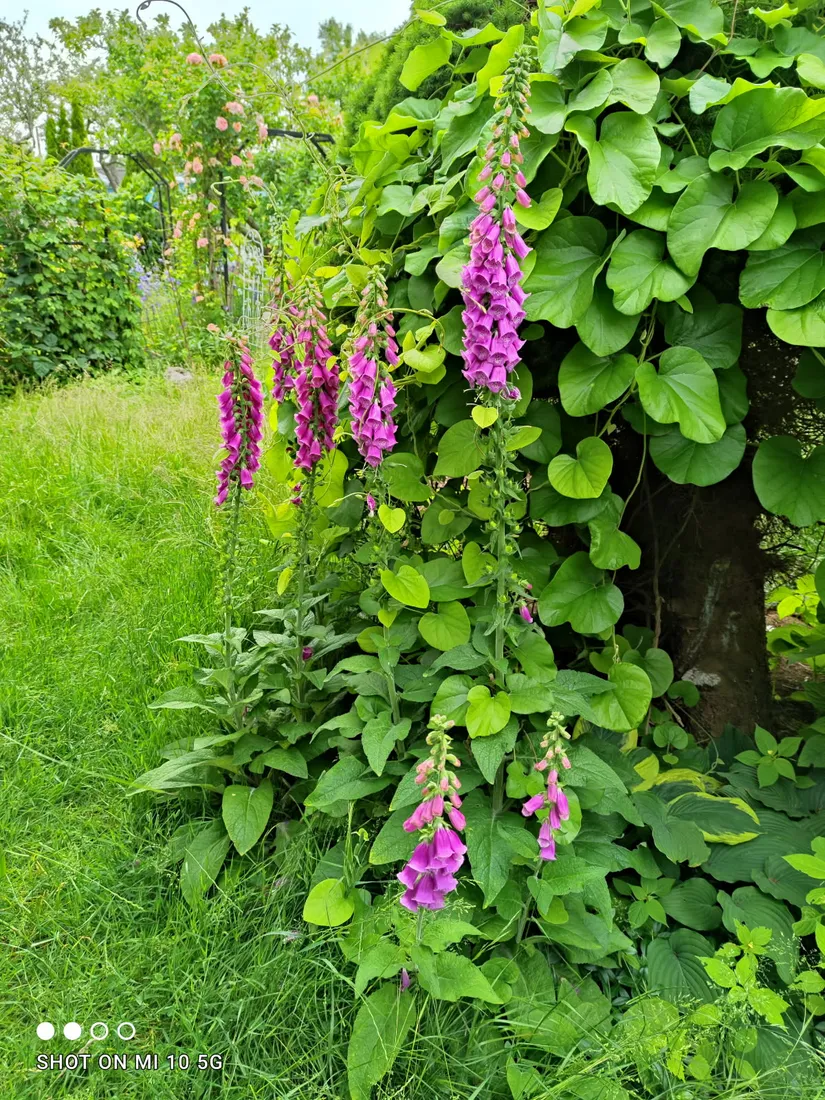 Fritidshus, Päronstigen 19, Landskrona