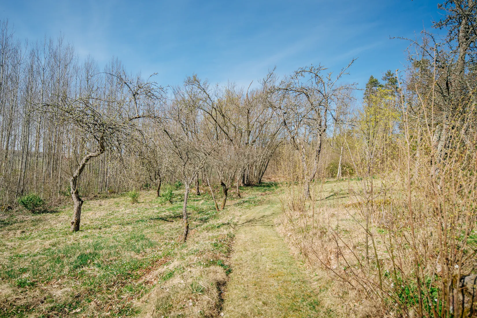 Villa, Tidavad Winbergstorpet 1, Mariestad