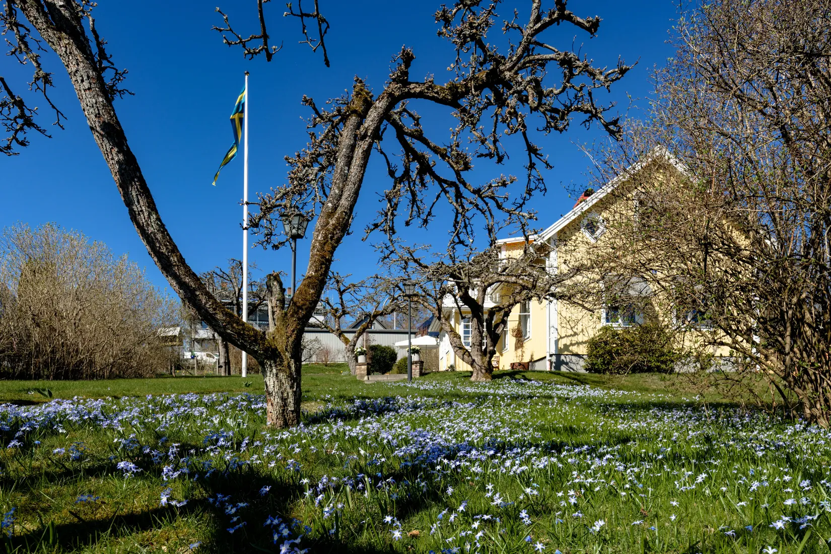 Villa, Pilgatan 11, Väster, Växjö