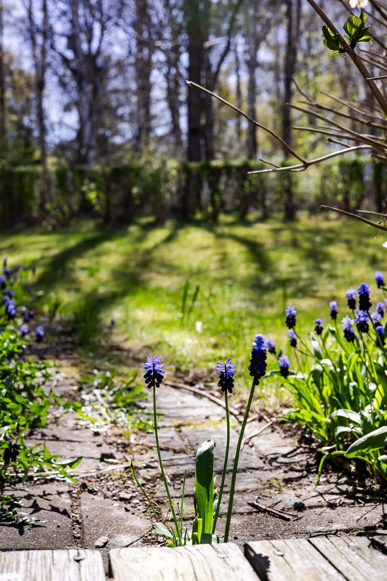 Bostadsrätt, Plockerotegatan 381, Backatorp, Göteborg
