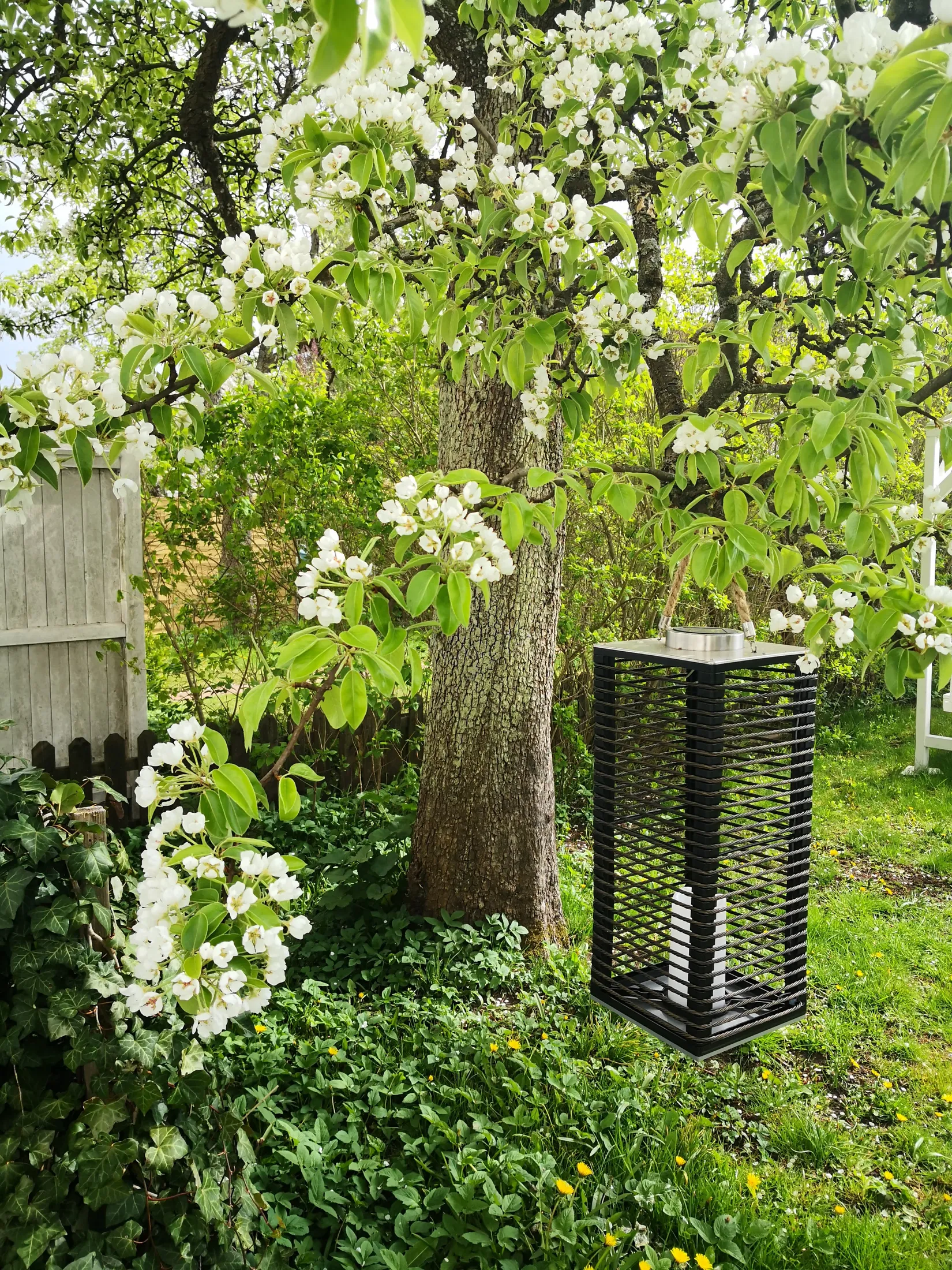 Villa, Radhus, Hertig Knutsgatan 14, Centralt öster, Halmstad