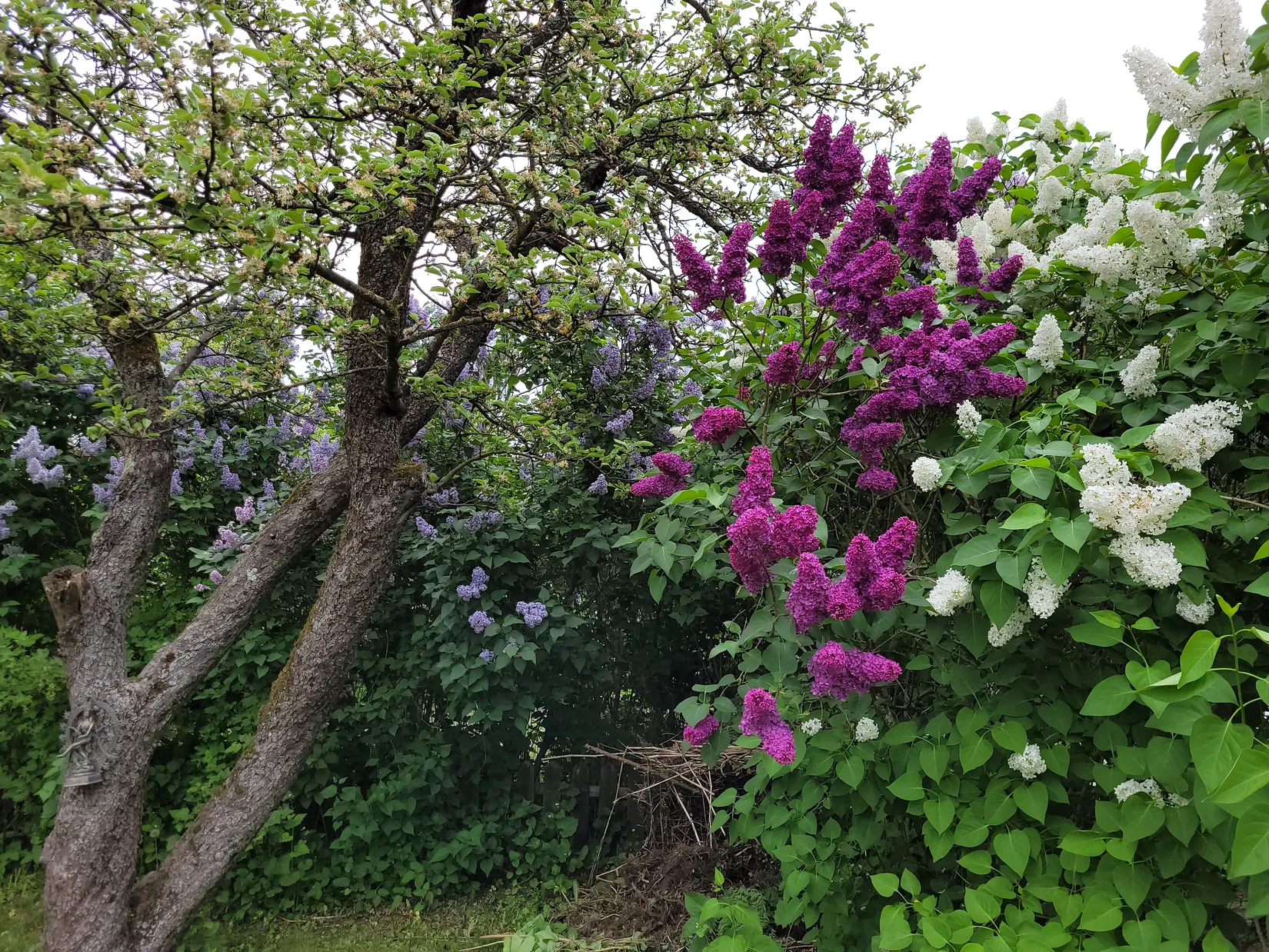 Villa, Radhus, Hertig Knutsgatan 14, Centralt öster, Halmstad