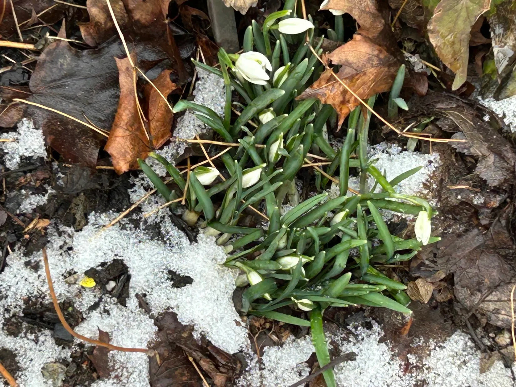 Fritidshus, Irisvägen 82, Tunabackar, Uppsala