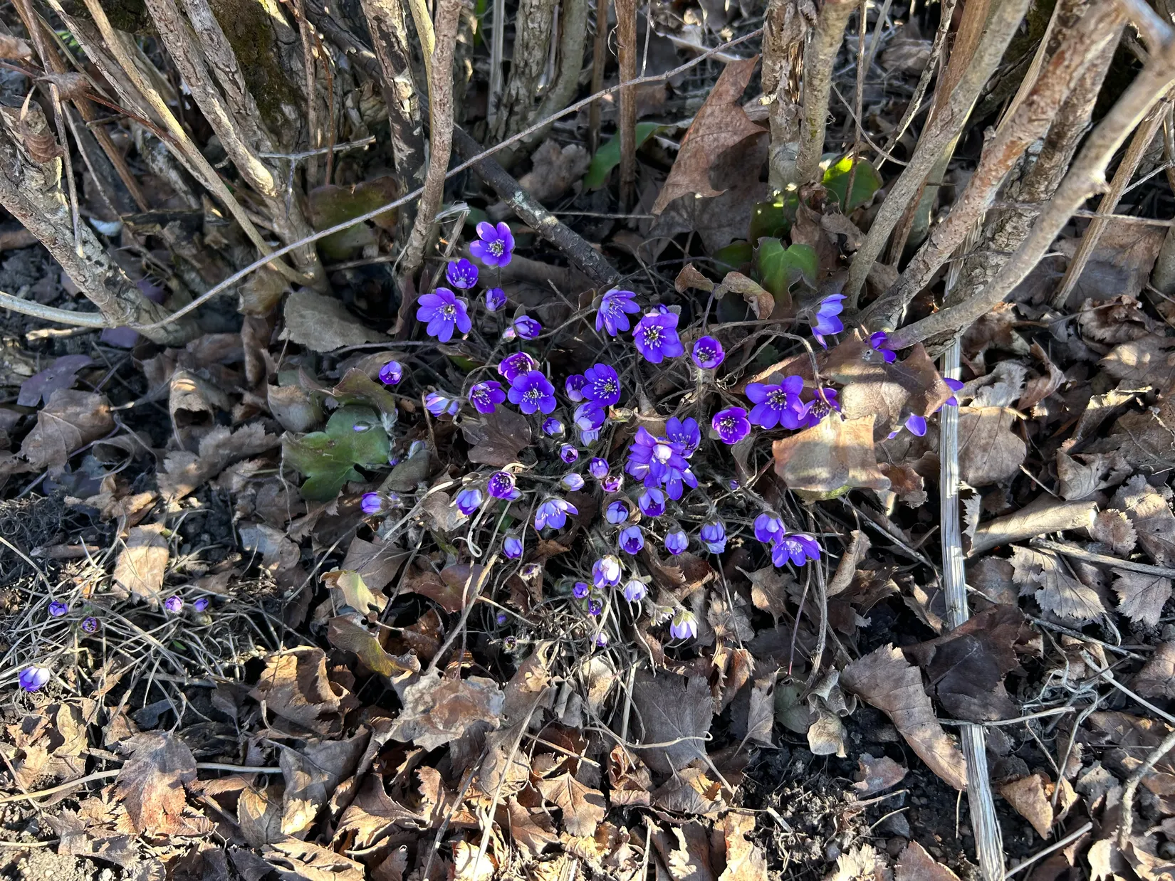 Fritidshus, Irisvägen 82, Tunabackar, Uppsala