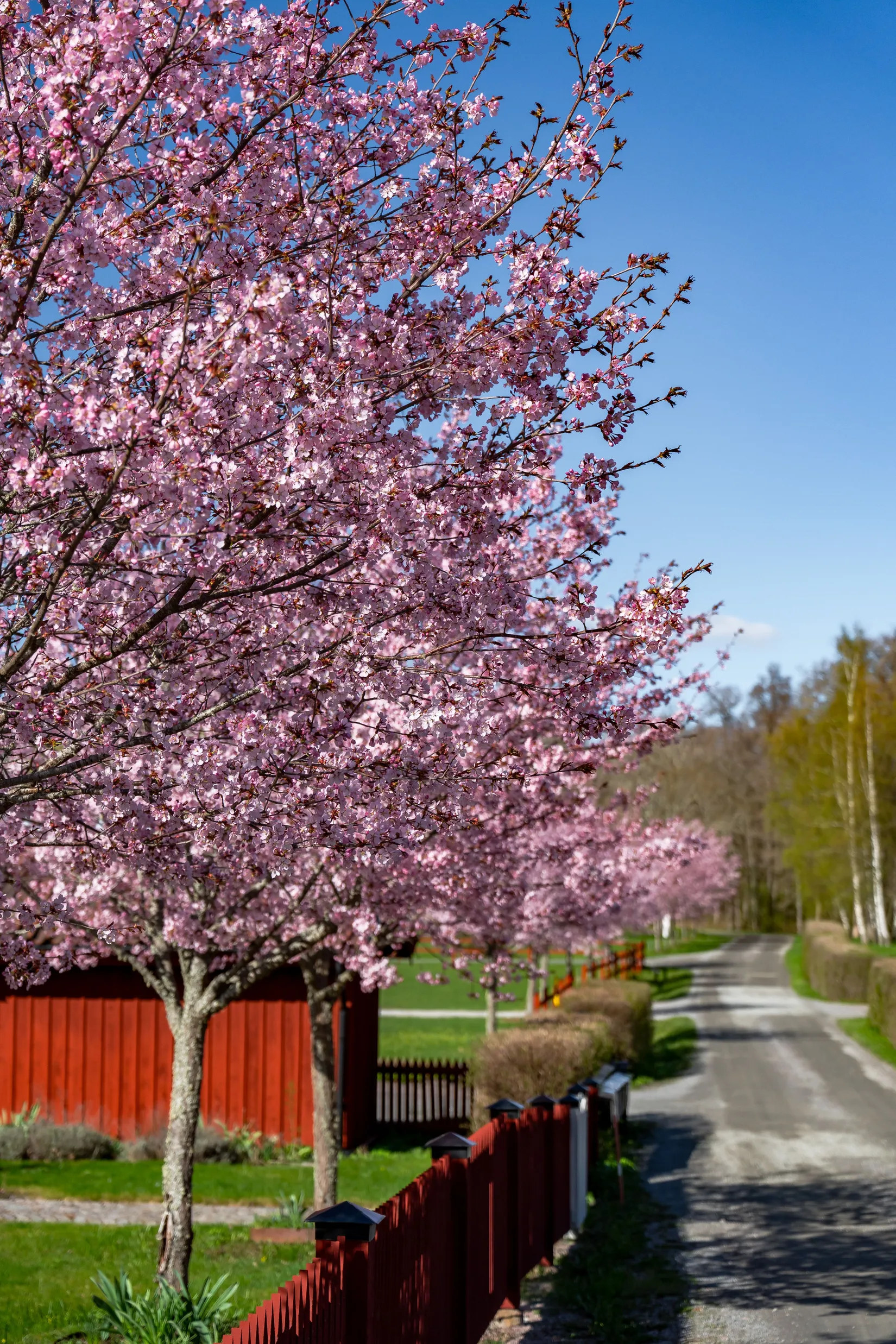 Villa, Radhus, Länna gård 11A, Uppsala