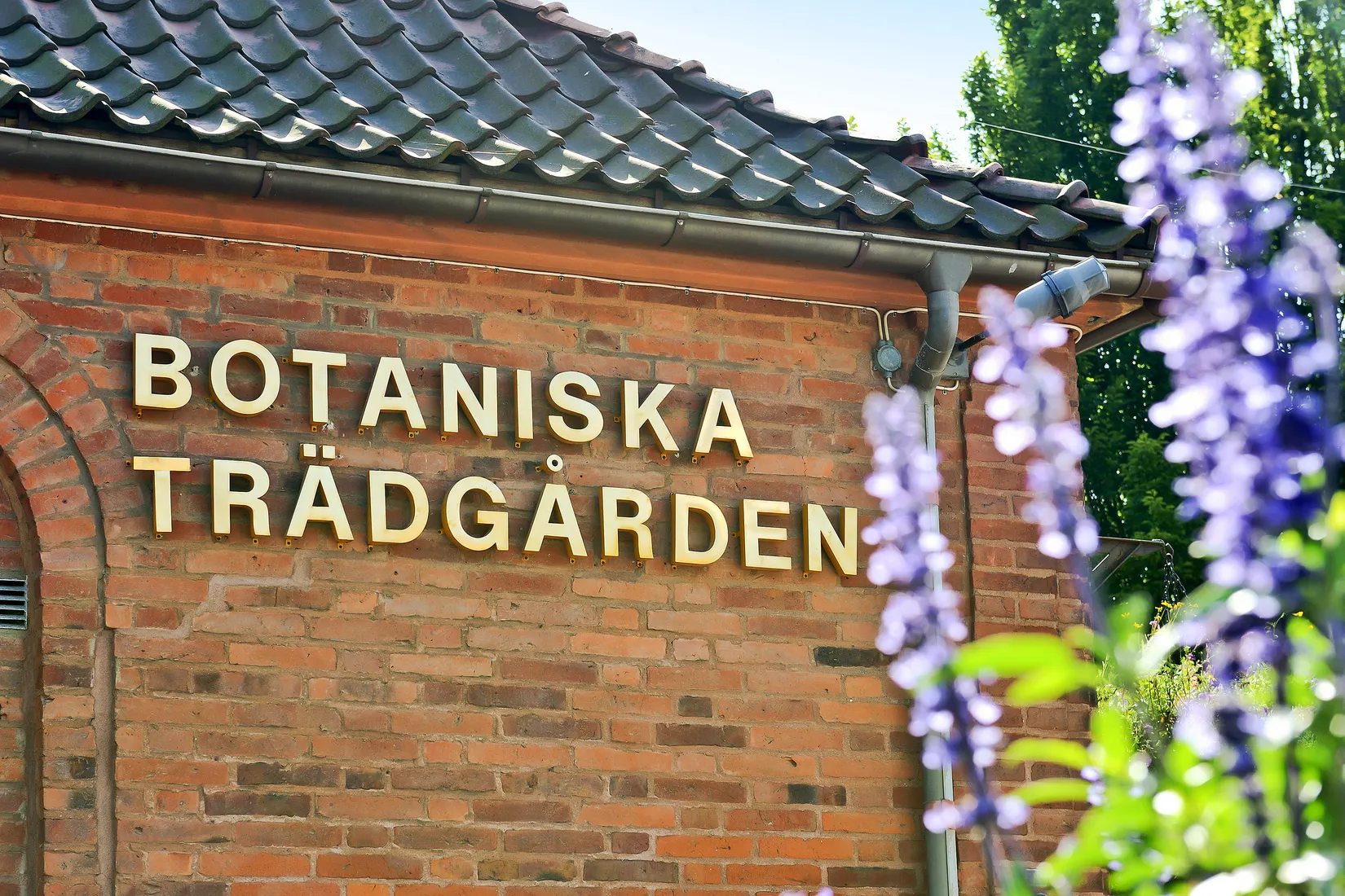 Bostadsrätt, Raketgatan 6, Norra Guldheden, Göteborg