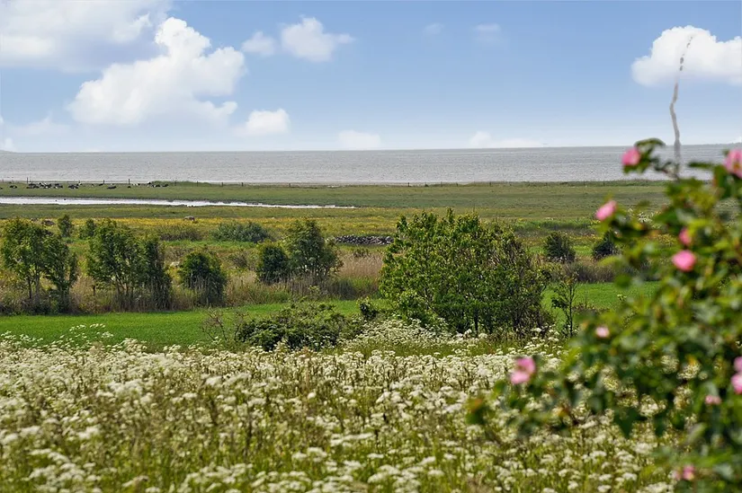 Fritidshus, Anemonvägen 10, Björkäng, Varberg