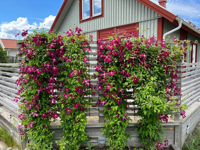 Villa, Nergårdsvägen 2, Bälinge, Uppsala