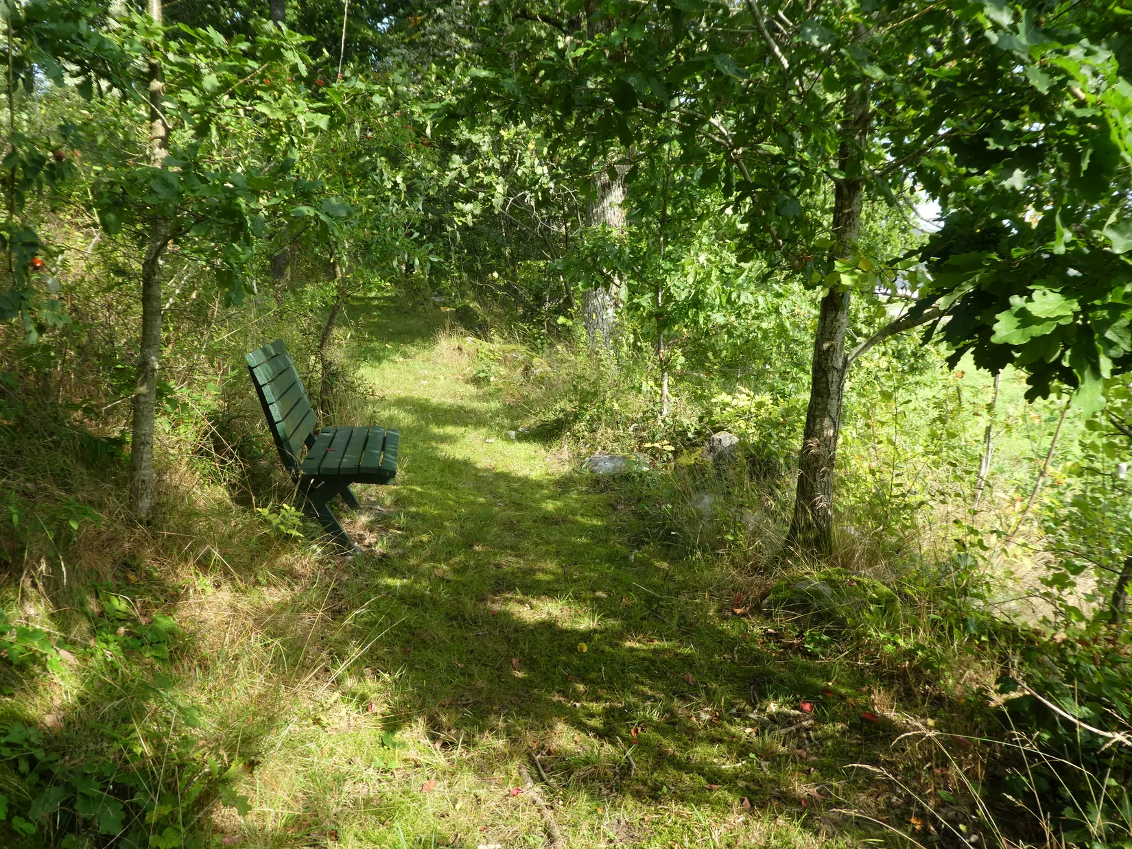 Gård/Skog, Bärby 33, Munkedal
