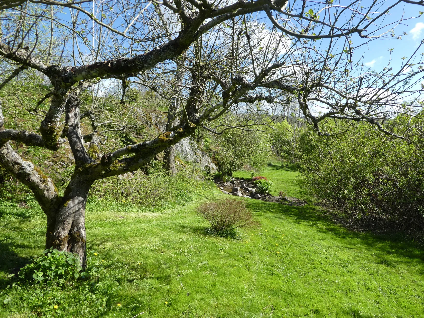 Gård/Skog, Bärby 33, Munkedal