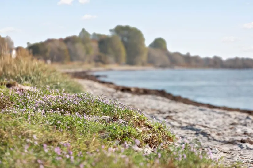 Villa, Radhus, Styvmors väg 4, Östra Stranden, Trelleborg