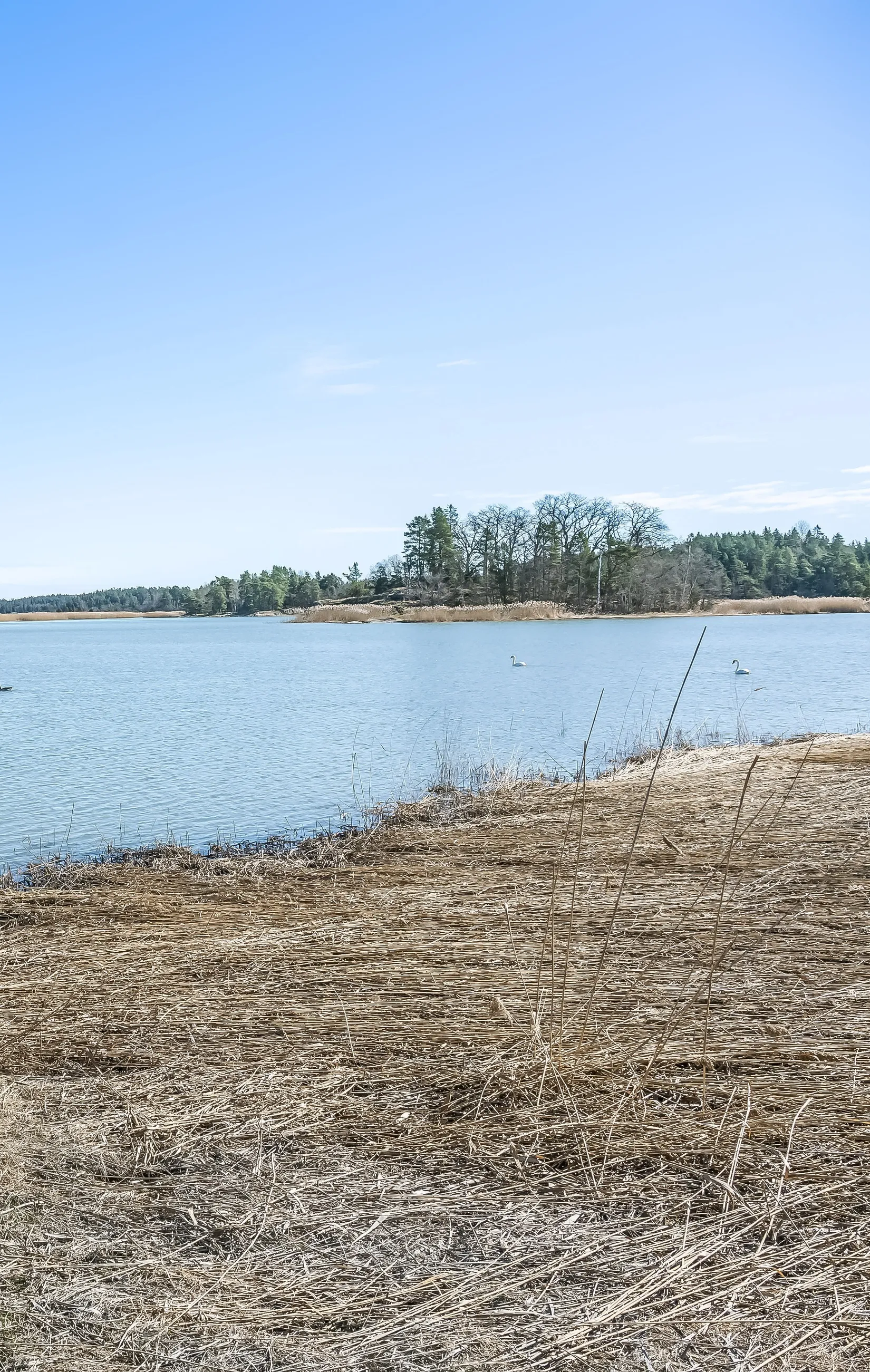 Fritidshus, Dal Lervik 2, Gryt, Valdemarsvik