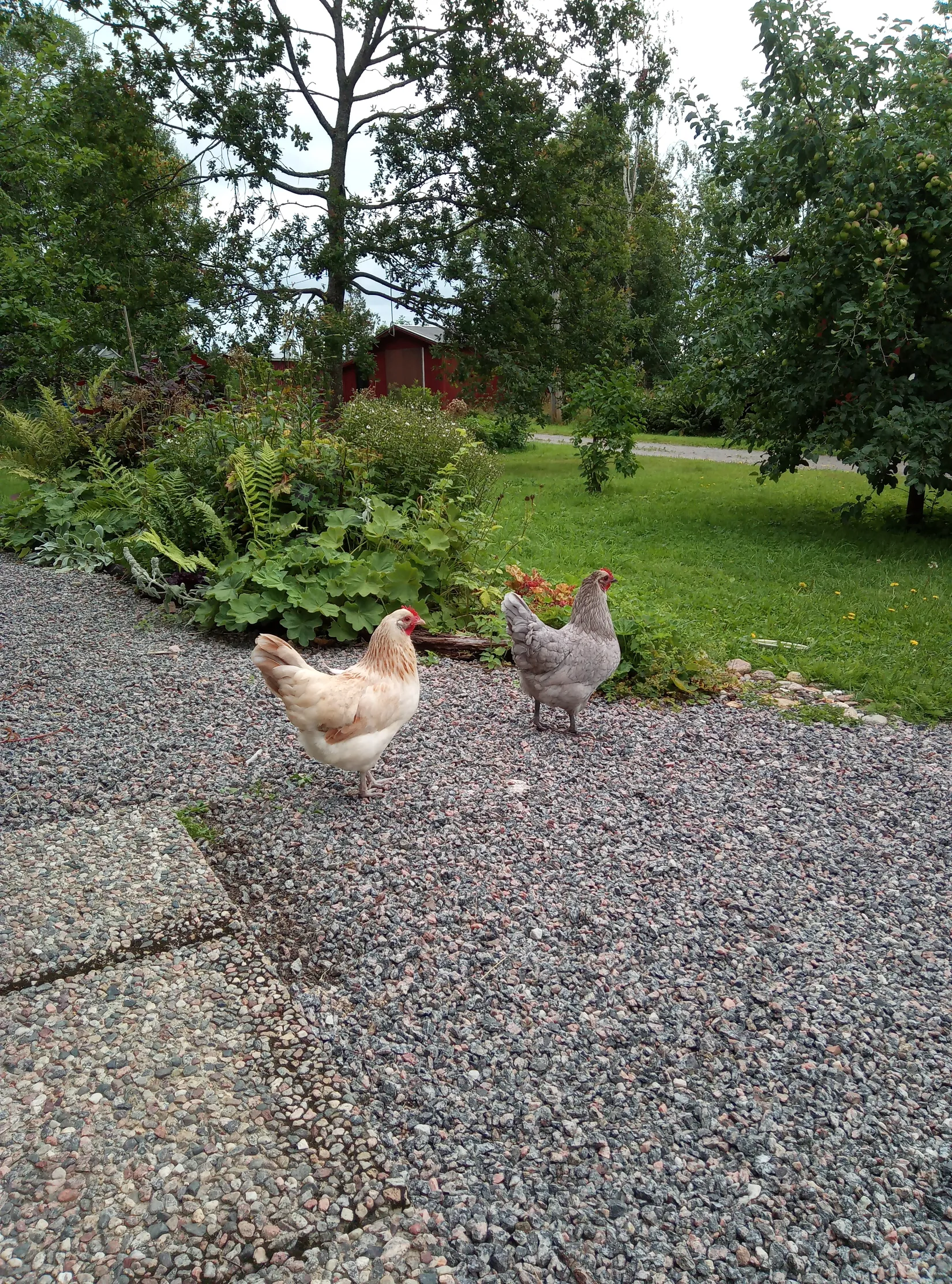 Villa, Hå 170, Ljusne, Söderhamn
