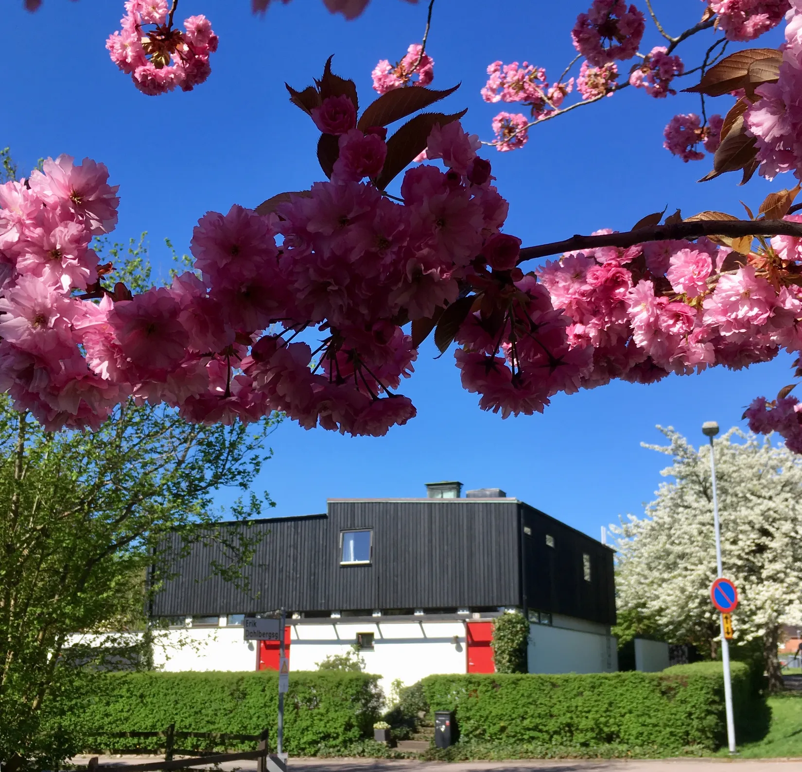Villa, Gyllensvärdsgatan 13, Väster, Halmstad