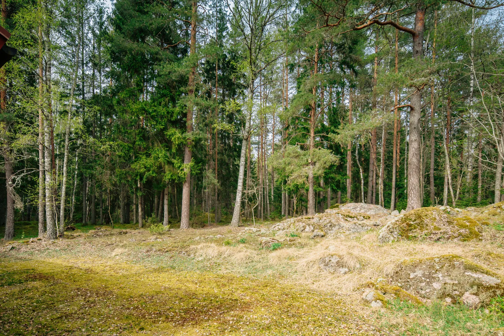Fritidshus, Runnäs Björkhöjden 1, Gullspång