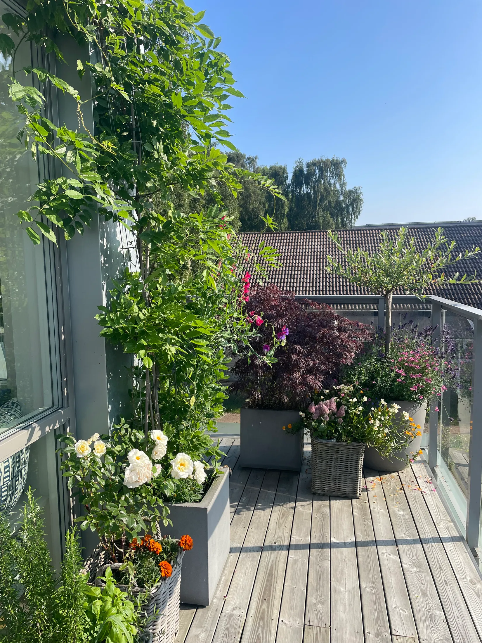 Bostadsrätt, Clemensagervägen 3C, Falsterbo, Vellinge
