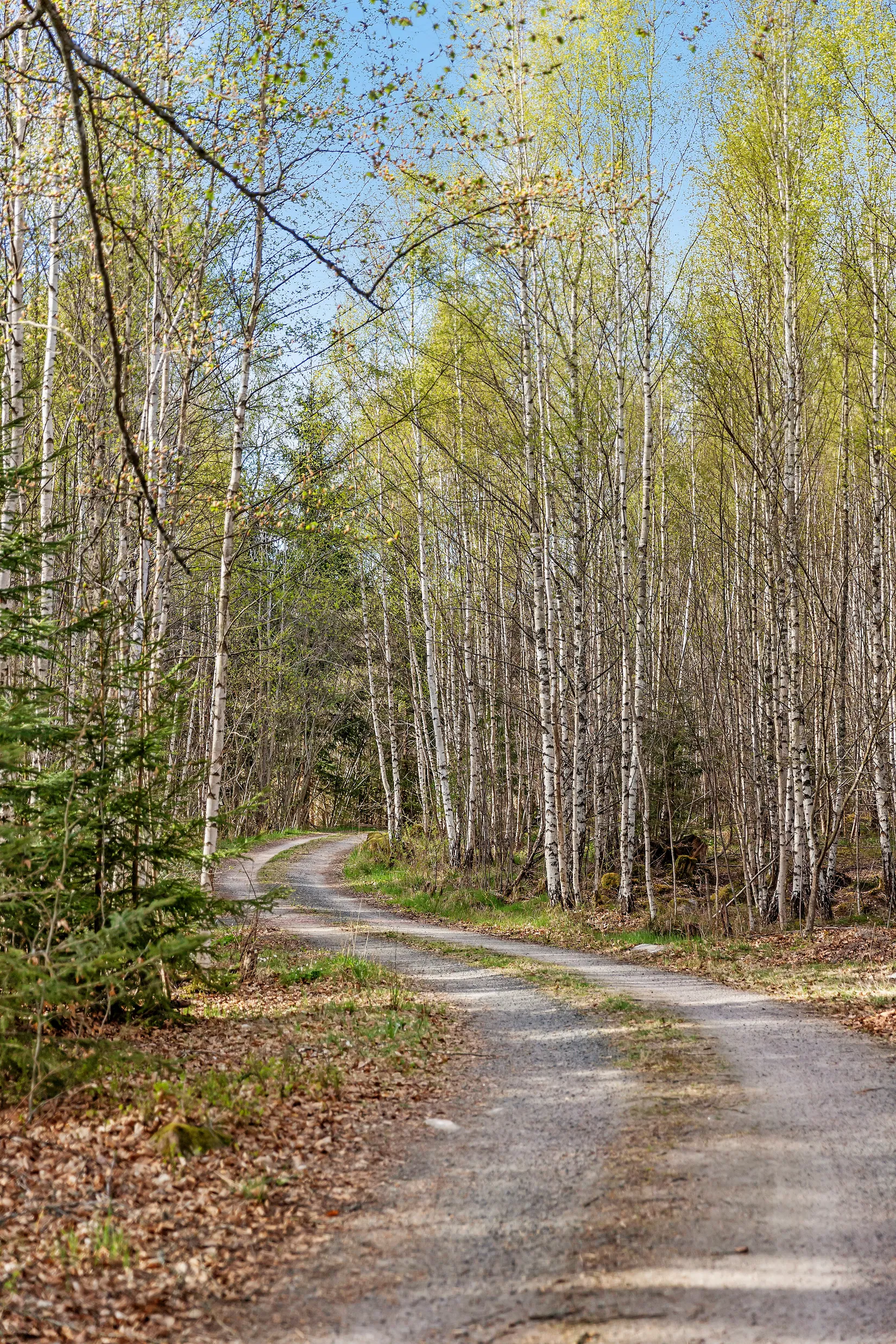 Fritidshus, Tryggaröd 1314H, Broby, Östra Göinge