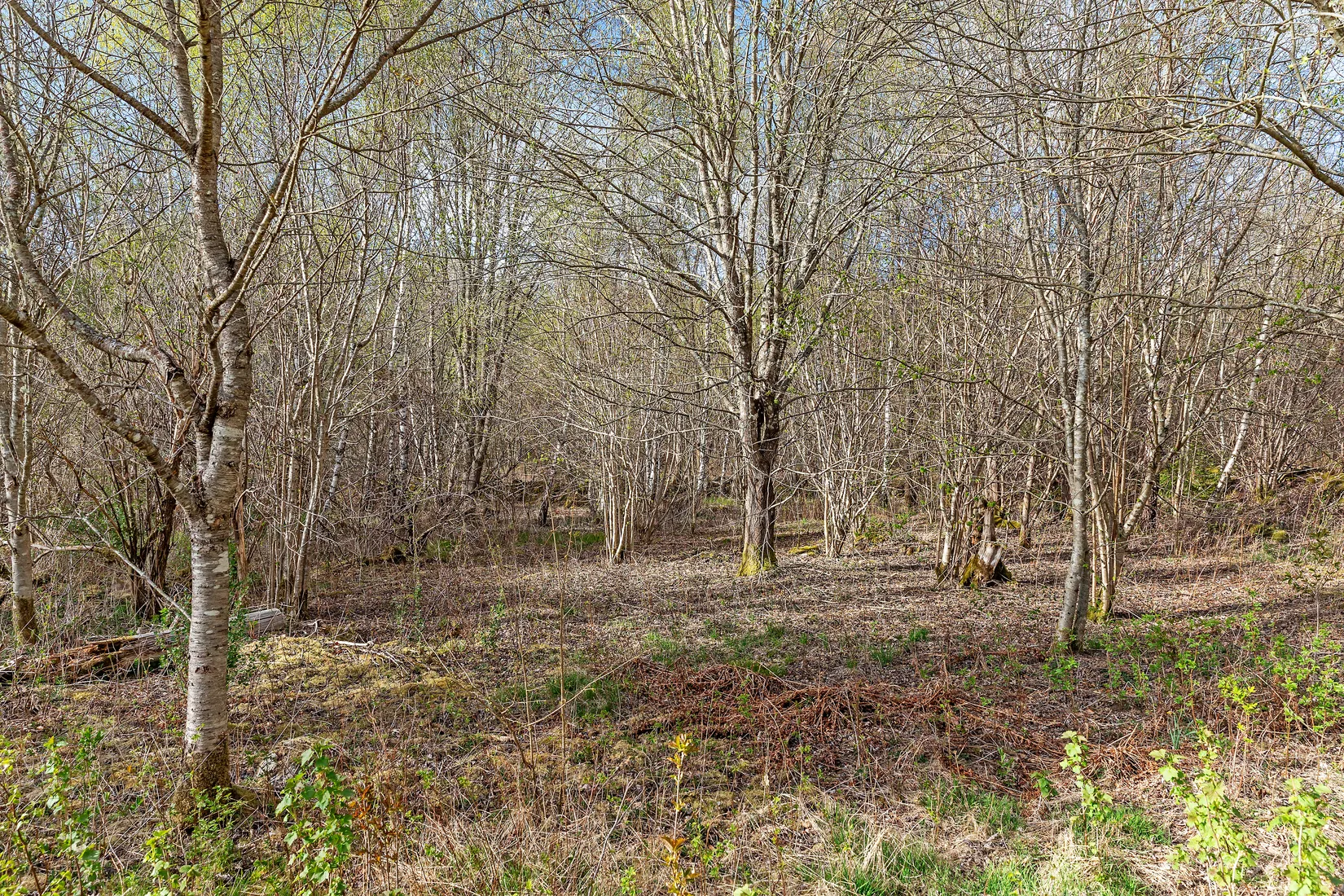 Fritidshus, Tryggaröd 1314H, Broby, Östra Göinge