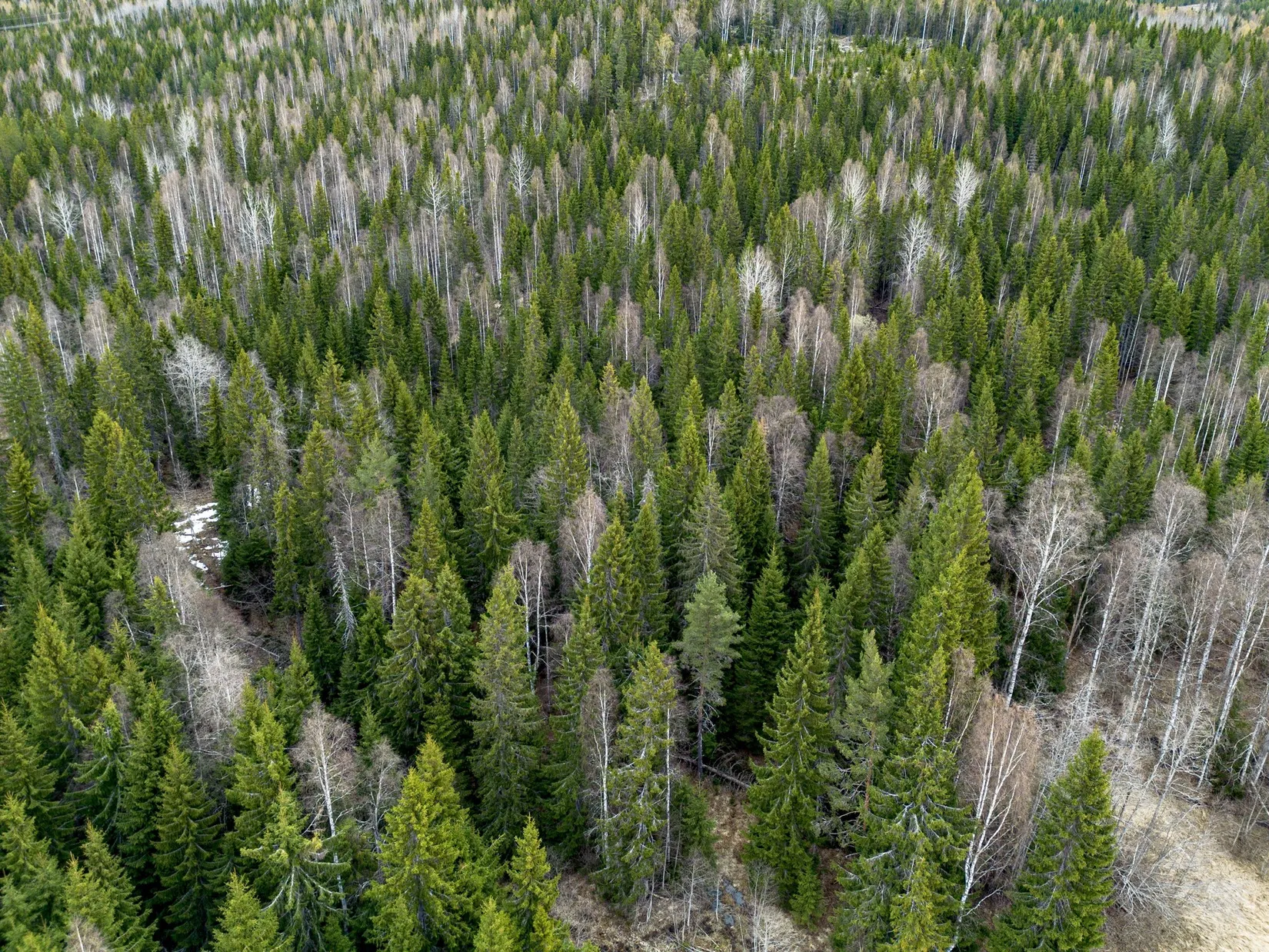 Gård/Skog, Kramfors Mo 2:10 & 16:2, Dal, Kramfors