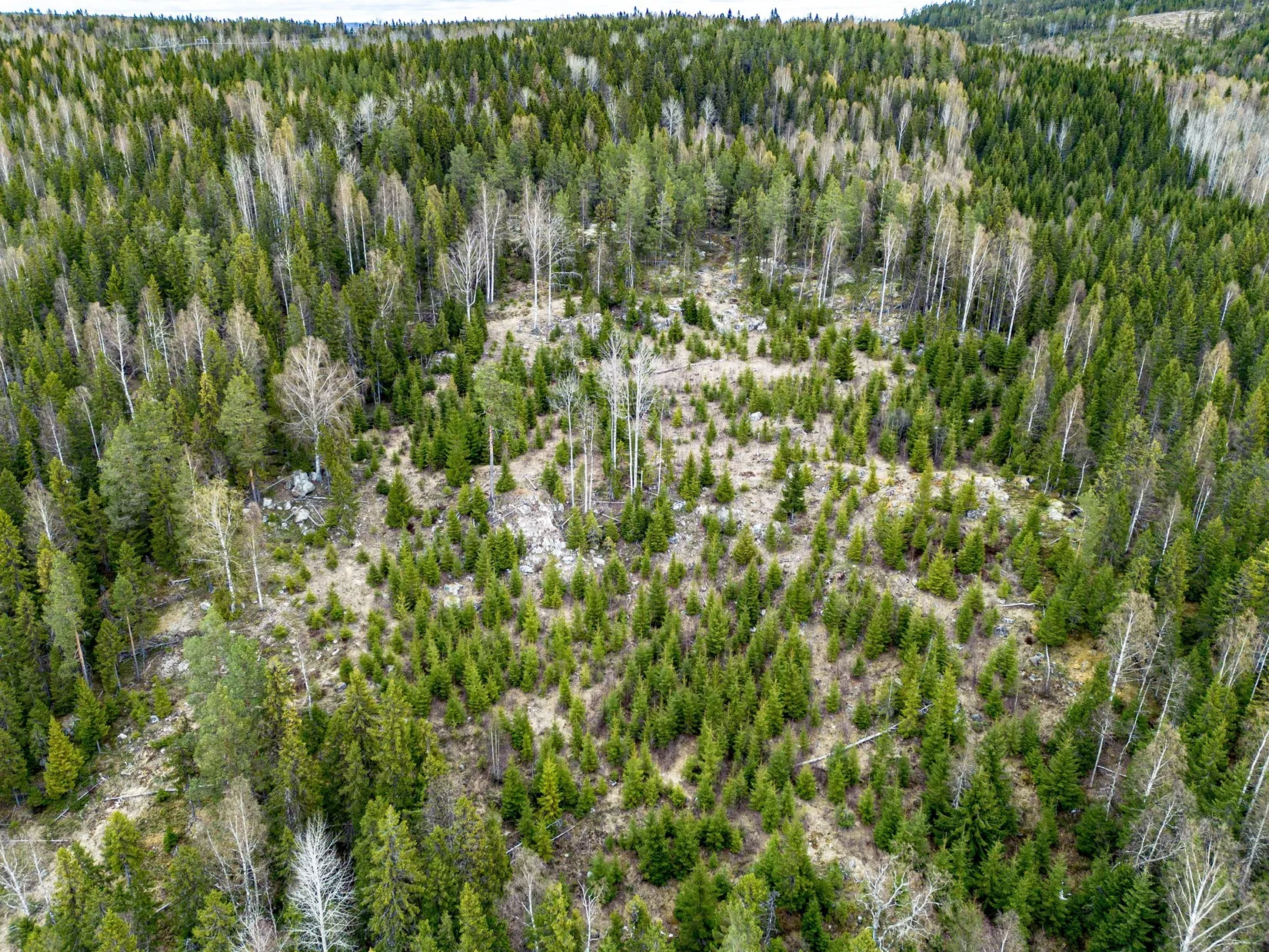 Gård/Skog, Kramfors Mo 2:10 & 16:2, Dal, Kramfors