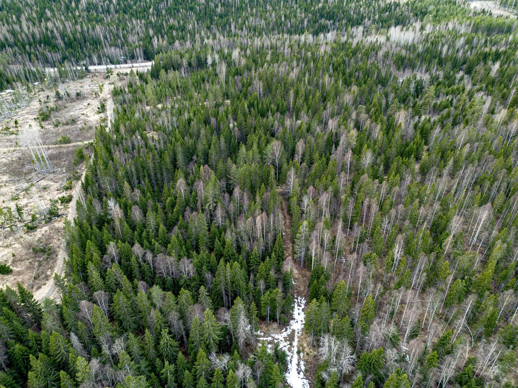 Gård/Skog, Kramfors Mo 2:10 & 16:2, Dal, Kramfors