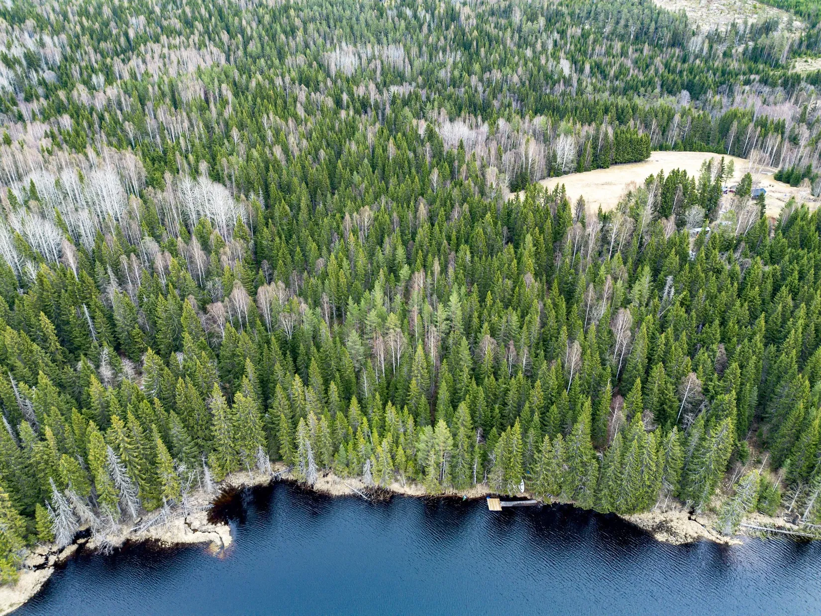 Gård/Skog, Kramfors Mo 2:10 & 16:2, Dal, Kramfors